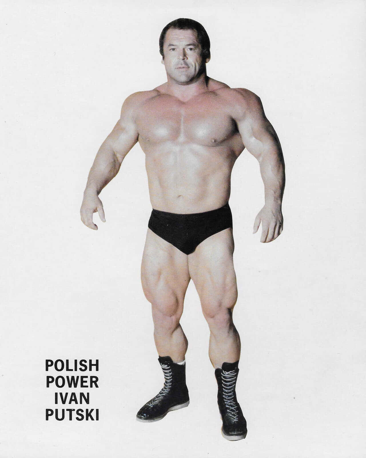 Ivan Putski 桌布 壁紙 — 肌肉發達的波蘭摔角手 Ivan Putski 自信地穿著黑色三角褲和靴子，站在純白色背景前。
