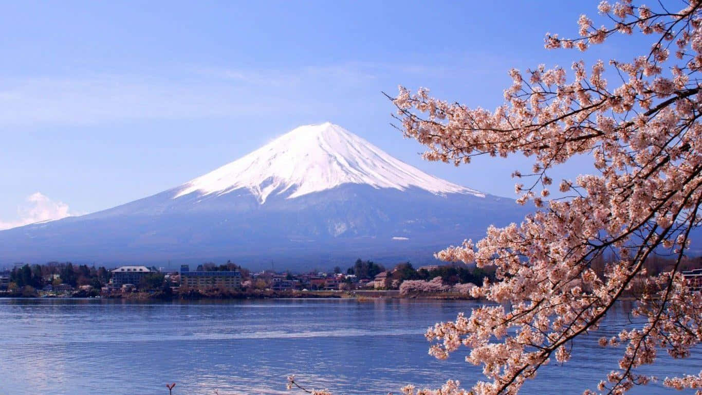 日本背景