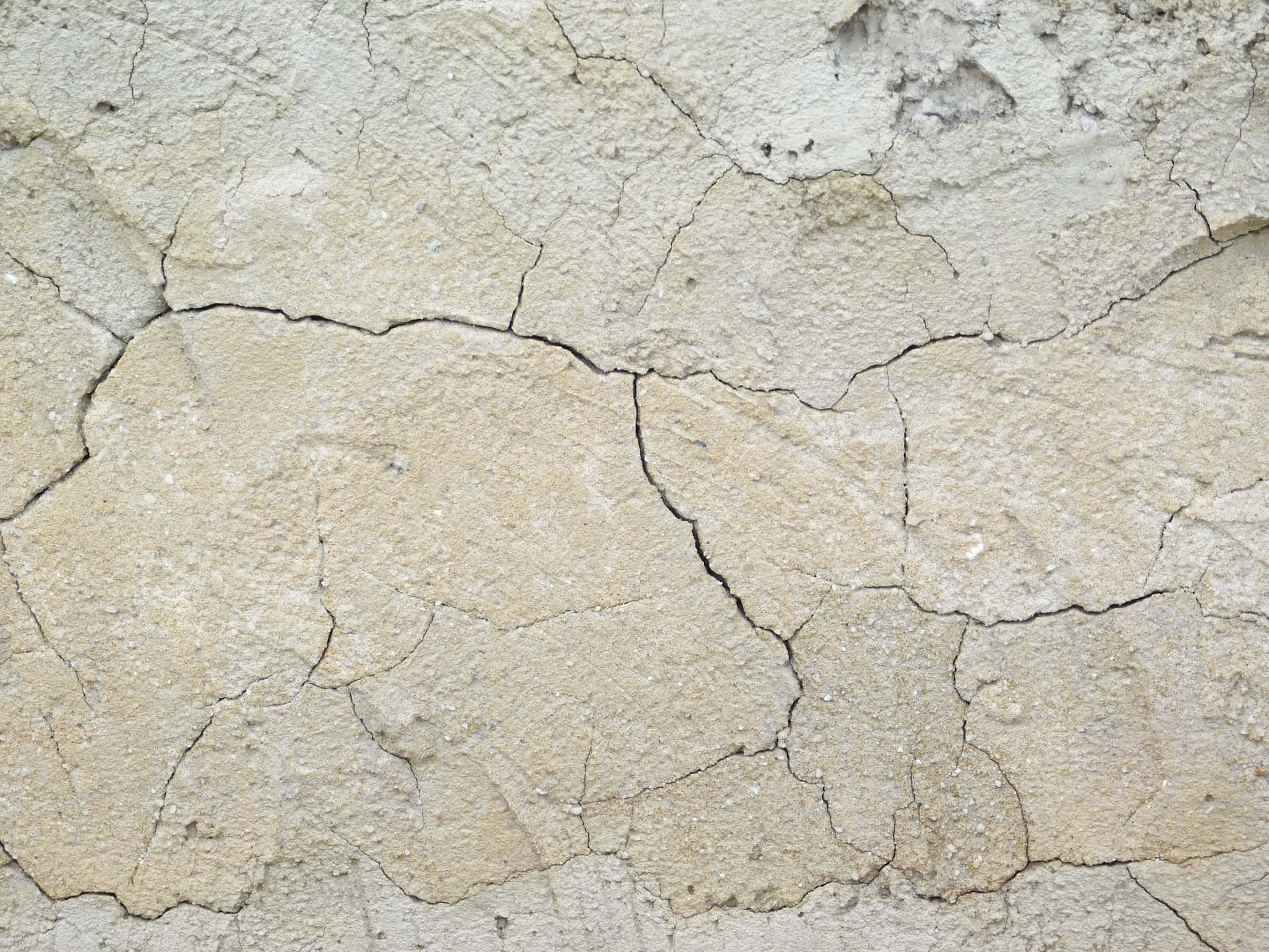 Stone texture 壁紙 — 自然光下乾裂土地的近距離特寫，帶有深裂縫和粗糙的米色紋理。