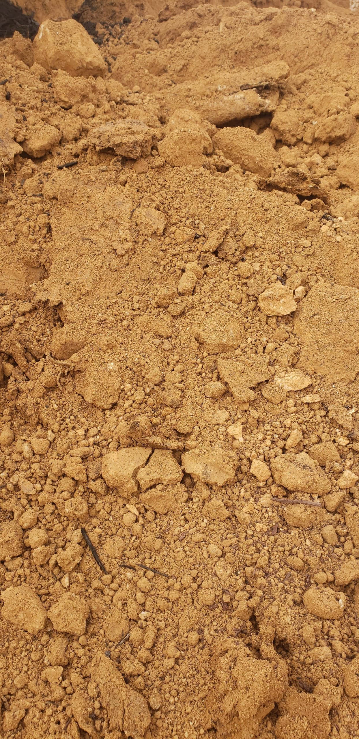 Dirt 桌布 壁紙 — 自然光下粗糙質感乾燥泥土的特寫，散落著小石塊和碎屑。