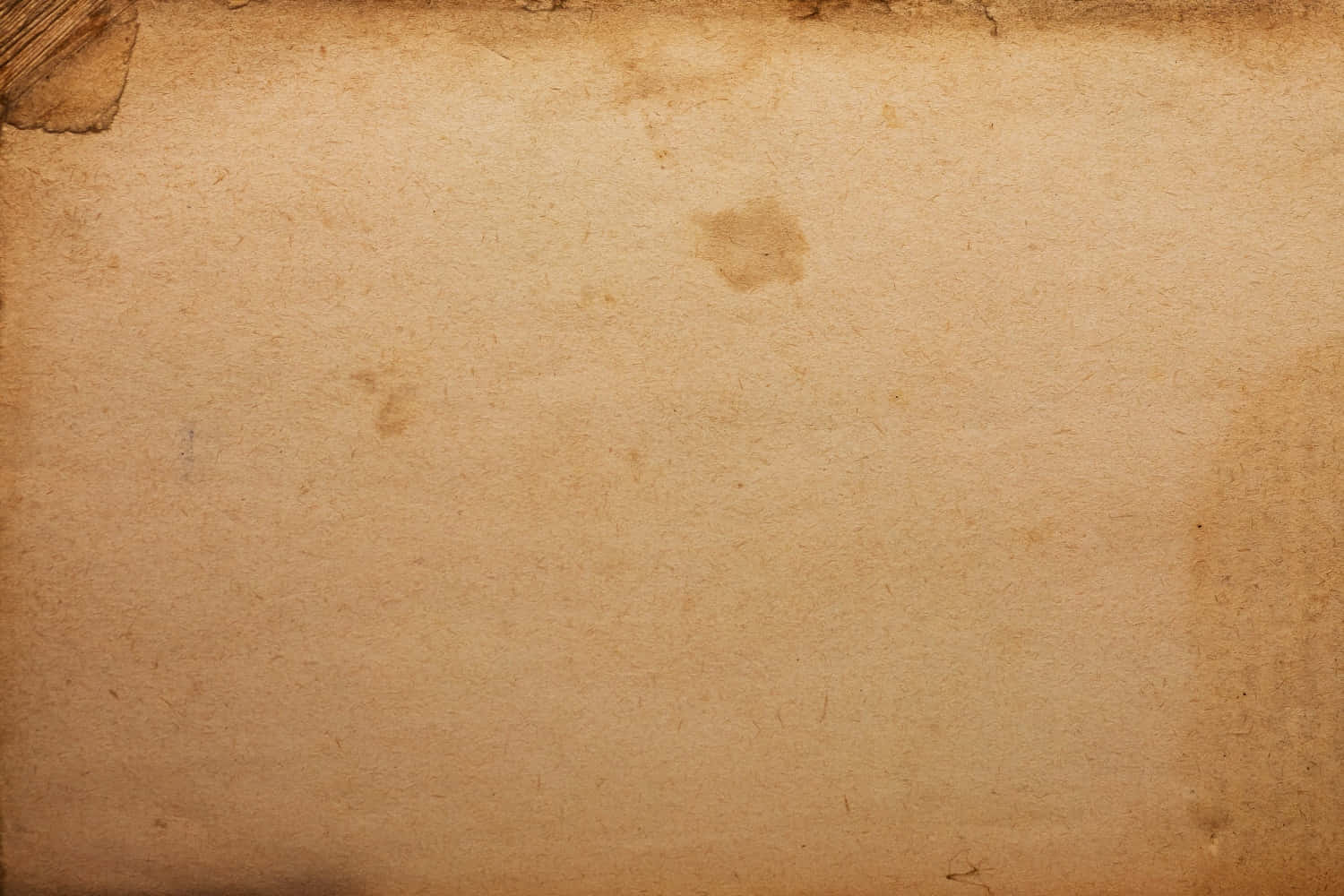 paper 桌布 壁紙 — 舊米色羊皮紙的特寫，帶有可見污漬和磨損邊緣。