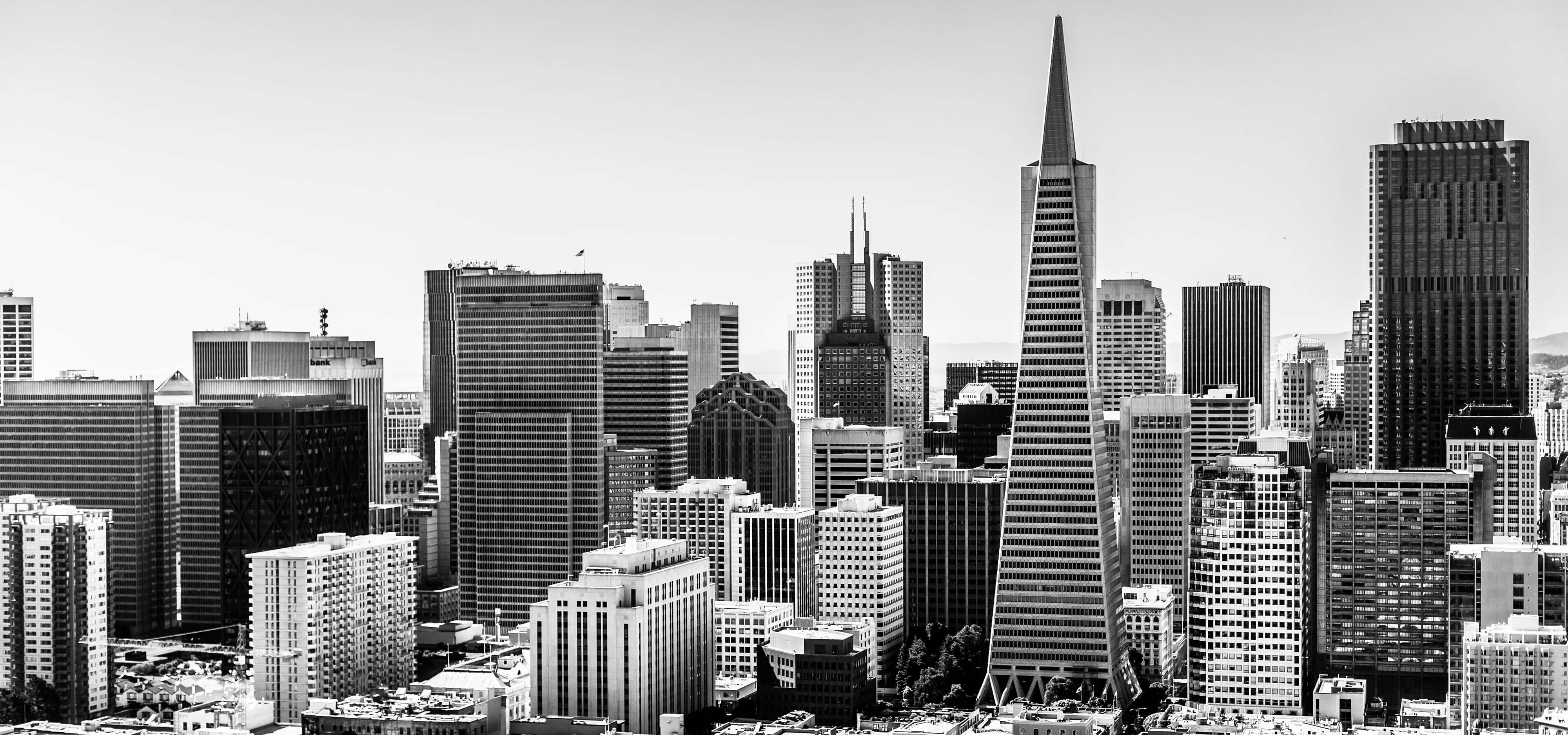 San Francisco Black And White 桌布 壁紙 — 舊金山天際線的單色全景視圖，以標誌性的泛美金字塔和周圍的摩天大樓為主導。