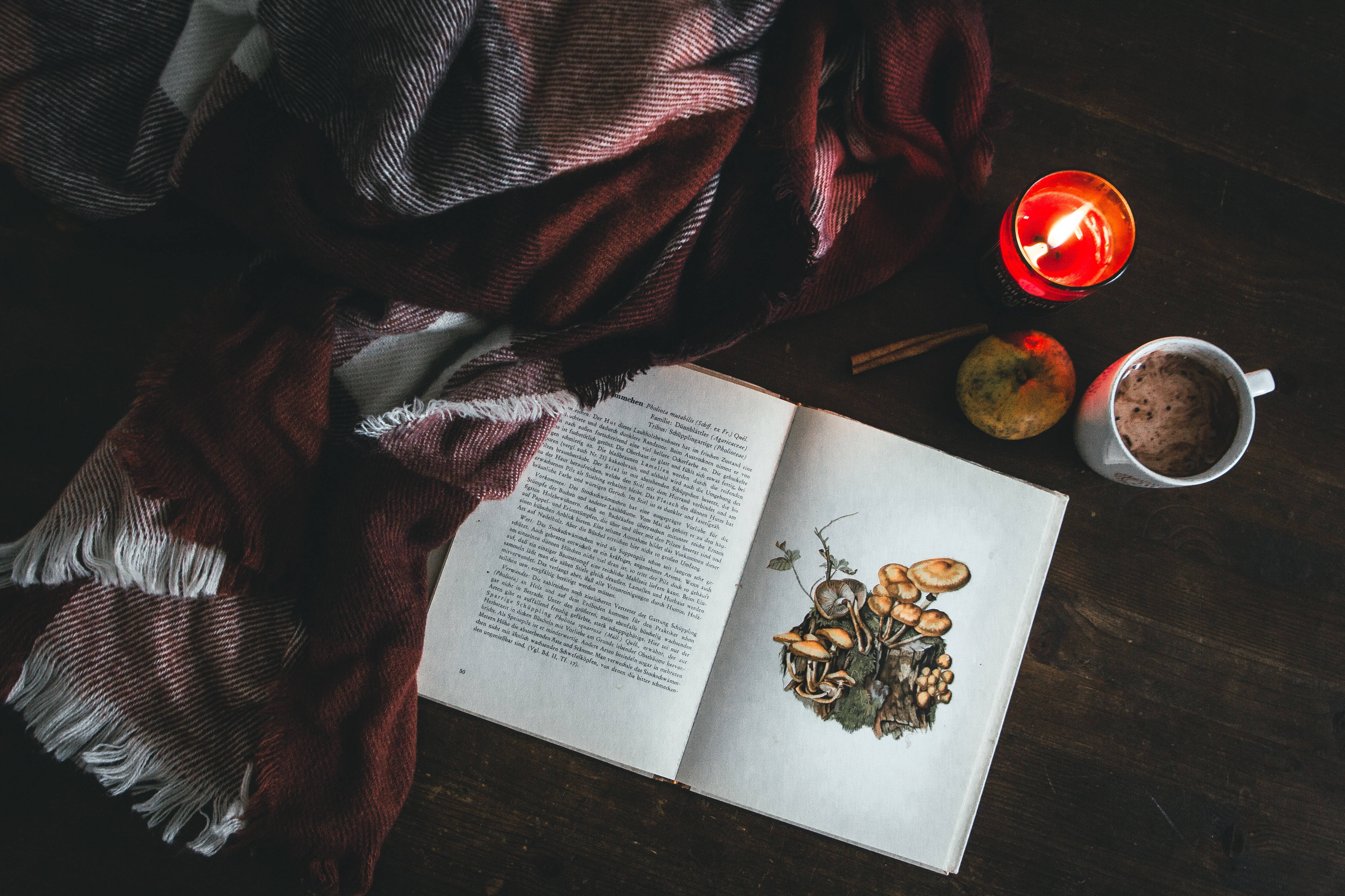 Cozy 桌布 壁紙 — 舒適的秋夜，木桌上放著一本打開的書、蘑菇插圖、熱飲、蠟燭和格子毯。