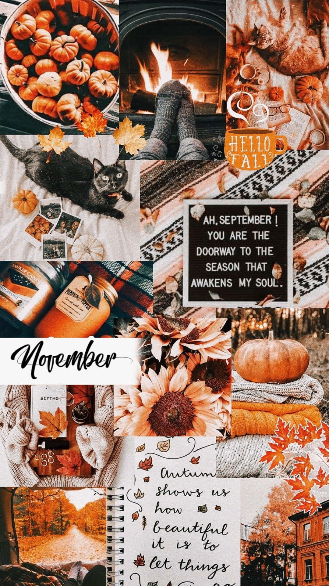 Autumn Fireplace 桌布 壁紙 — 舒適的秋季拼貼畫，包含南瓜、火、襪子、貓、向日葵和手寫語錄，採用溫暖的大地色調。