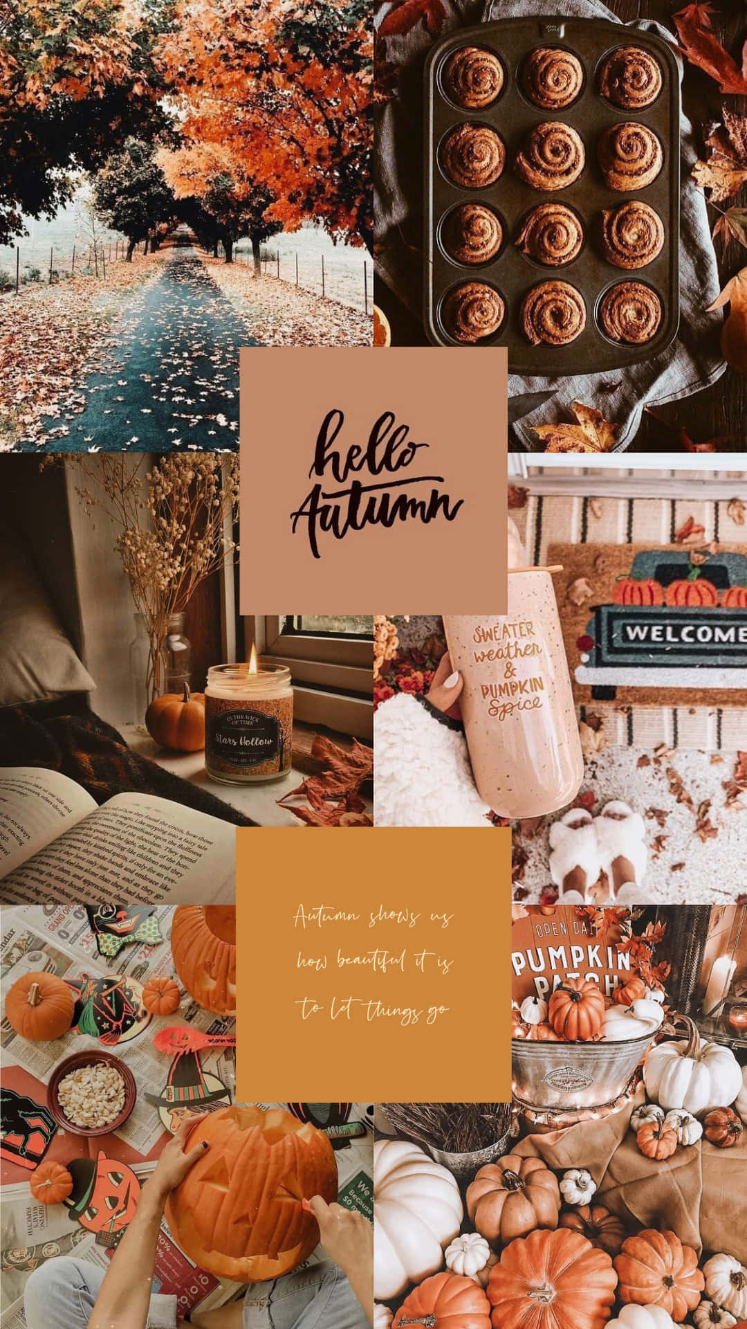 Autumn Collage 桌布 壁紙 — 舒適的秋季拼貼畫，包含南瓜、肉桂卷、落葉和手寫的 hello autumn 文字。