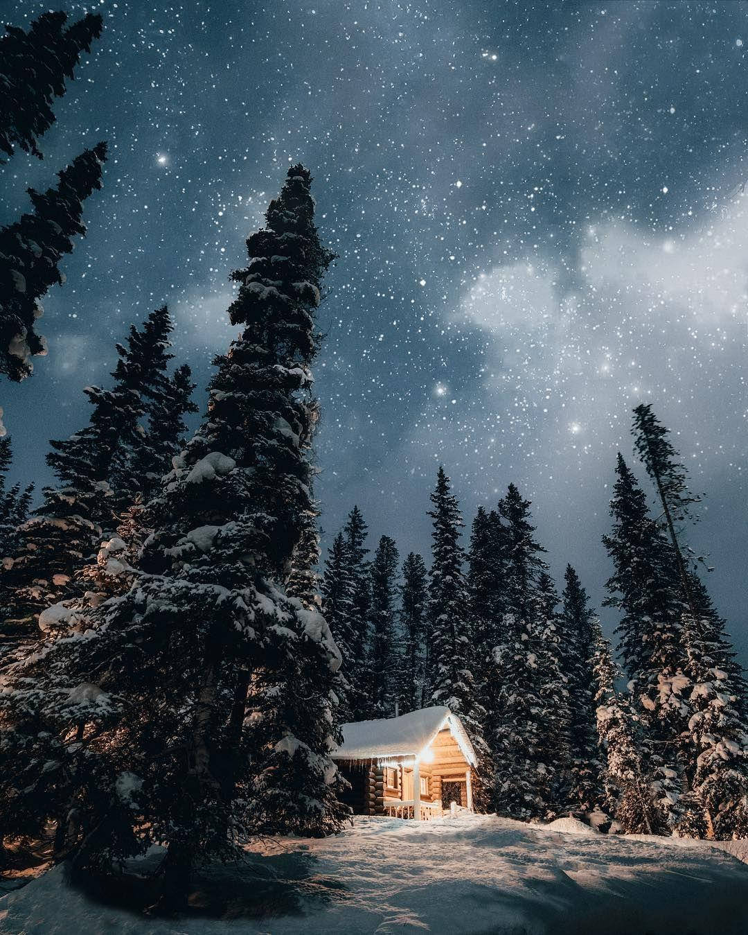 old 桌布 壁紙 — 舒適的雪覆蓋小屋，坐落在高聳的松樹之間，在令人驚嘆的星空冬夜下。