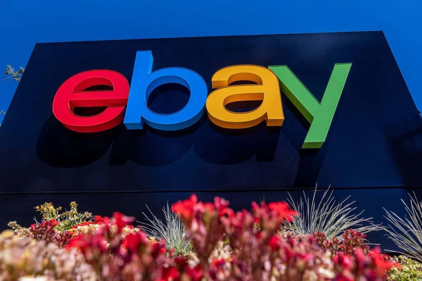eBay 桌布 壁紙 — 色彩繽紛的eBay標誌以紅、藍、黃、綠色調，在深藍天空與前景的鮮花襯托下，顯得格外醒目。