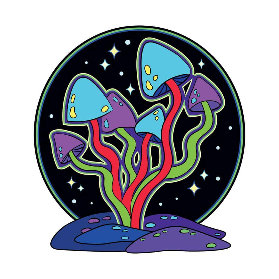 Trippy Mushrooms 桌布 壁紙 — 色彩繽紛的卡通蘑菇，帶有發光的菌蓋和彩色菌柄，從紫色土堆中長出，背景是星空夜空。