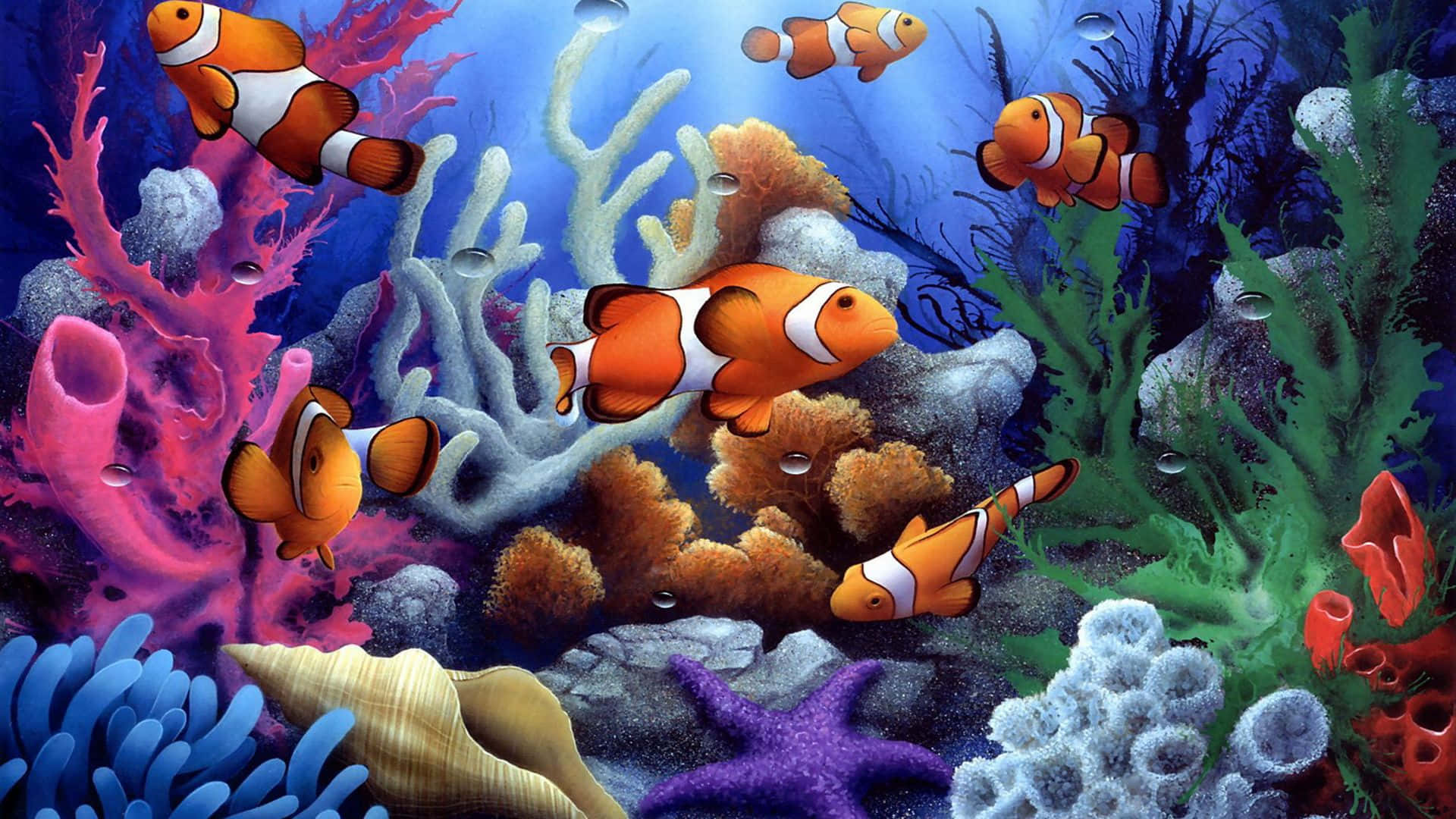 Fish Desktop 桌布 壁紙 — 色彩繽紛的小丑魚在色彩斑斕的珊瑚和海葵之間游動，構成生動的海底場景。