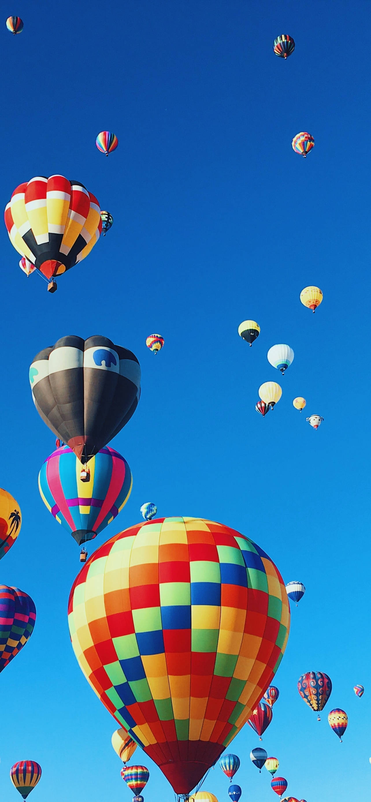 Hot Air Balloon 桌布 壁紙 — 色彩繽紛的彩虹圖案熱氣球在晴朗的藍天中漂浮，呈現節日般的空中表演。