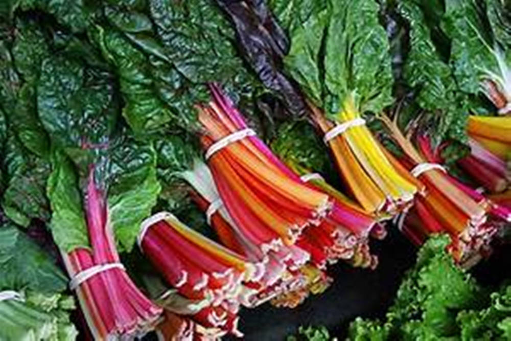 Food Photography 桌布 壁紙 — 色彩繽紛的彩虹甜菜束，深綠色葉片和彩色莖稈成排捆綁。