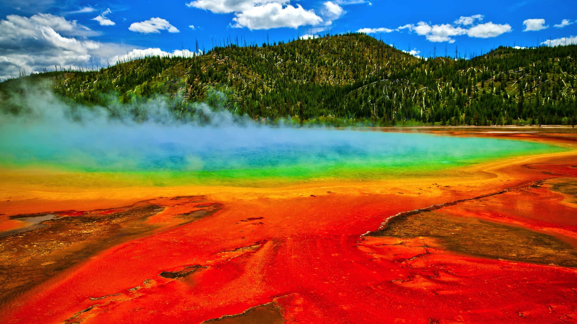 Yellowstone 桌布 壁紙 — 色彩繽紛的彩虹色溫泉在明亮的藍天白雲下冒著蒸氣。