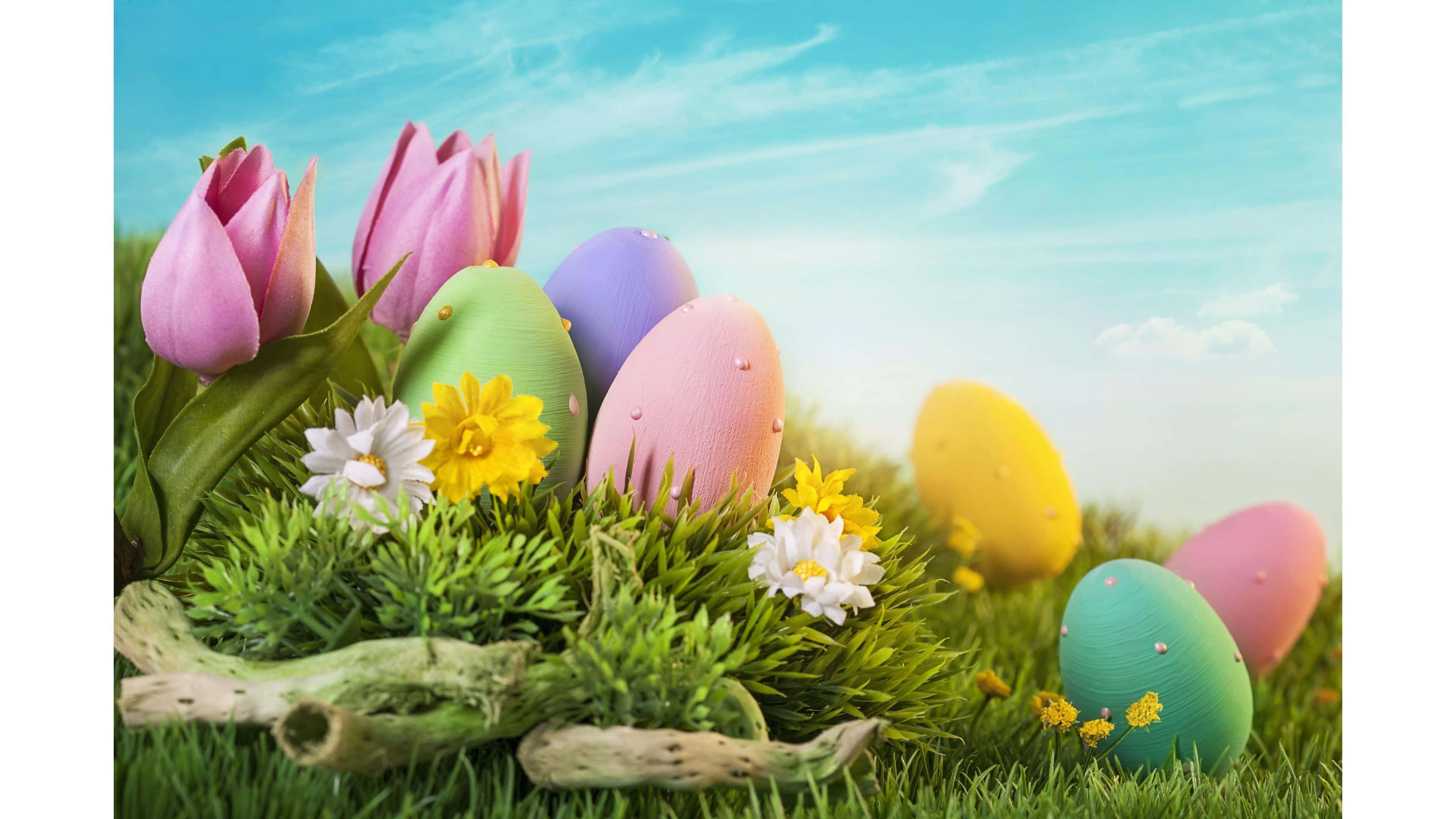 Pastel Easter 桌布 壁紙 — 色彩繽紛的復活節彩蛋和粉紅色鬱金香，點綴在充滿活力的綠草中，上方是明亮的藍天。
