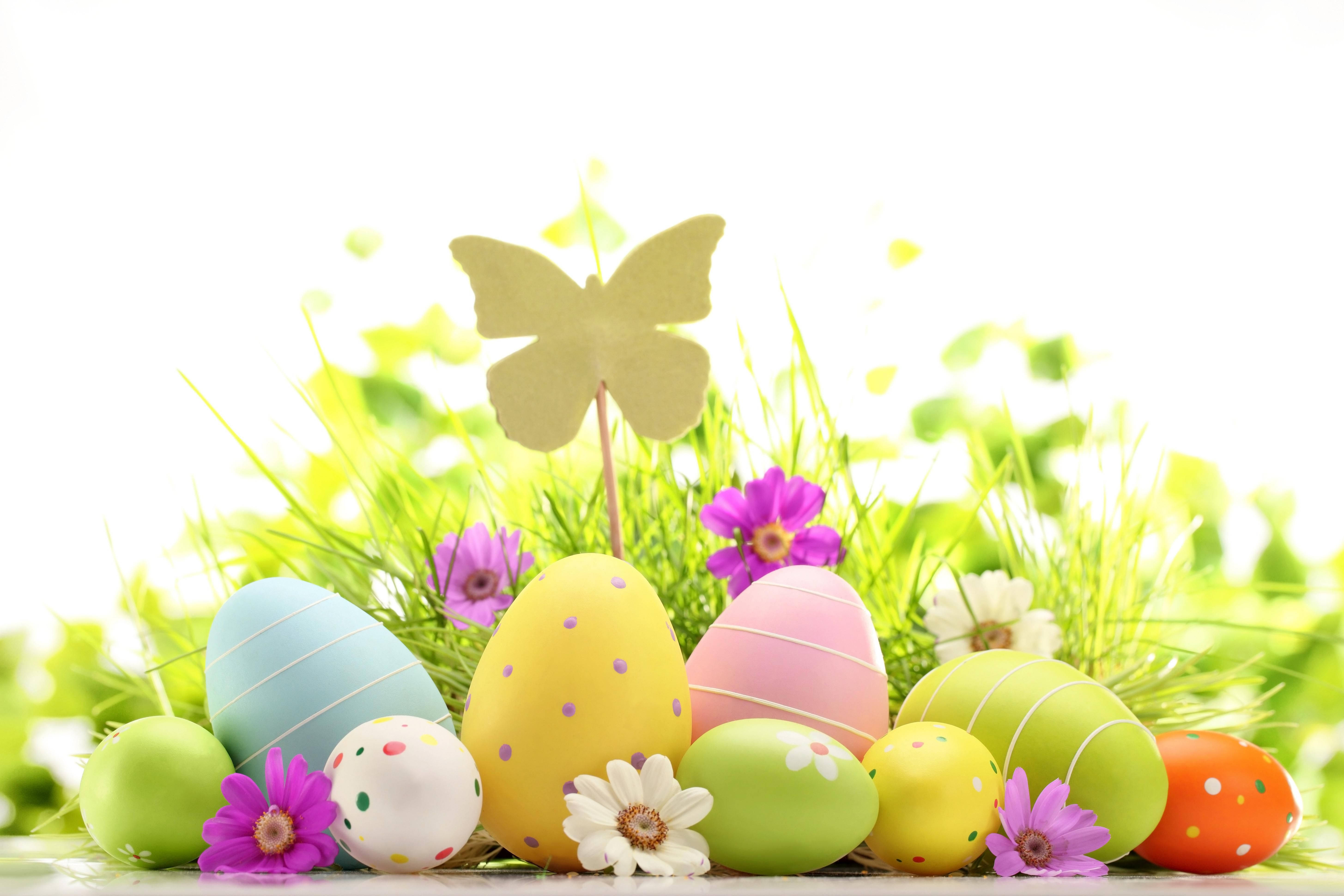 Cute Easter 桌布 壁紙 — 色彩繽紛的復活節彩蛋和花朵，鑲嵌在充滿活力的綠色草地中，並有金色蝴蝶裝飾。