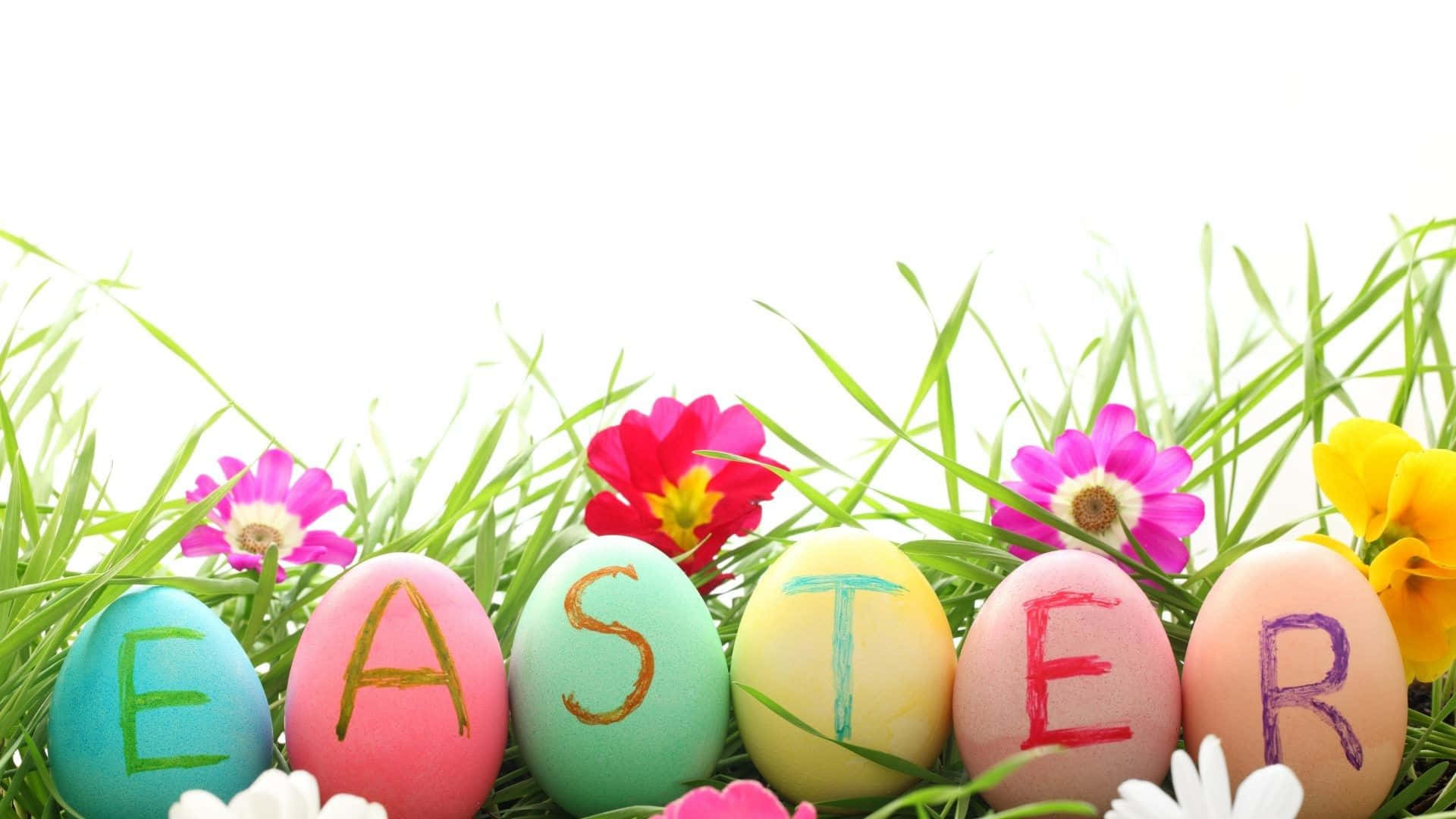 April 桌布 壁紙 — 色彩繽紛的復活節彩蛋拼出單詞Easter， nestled在充滿活力的綠草和盛開的花朵中。