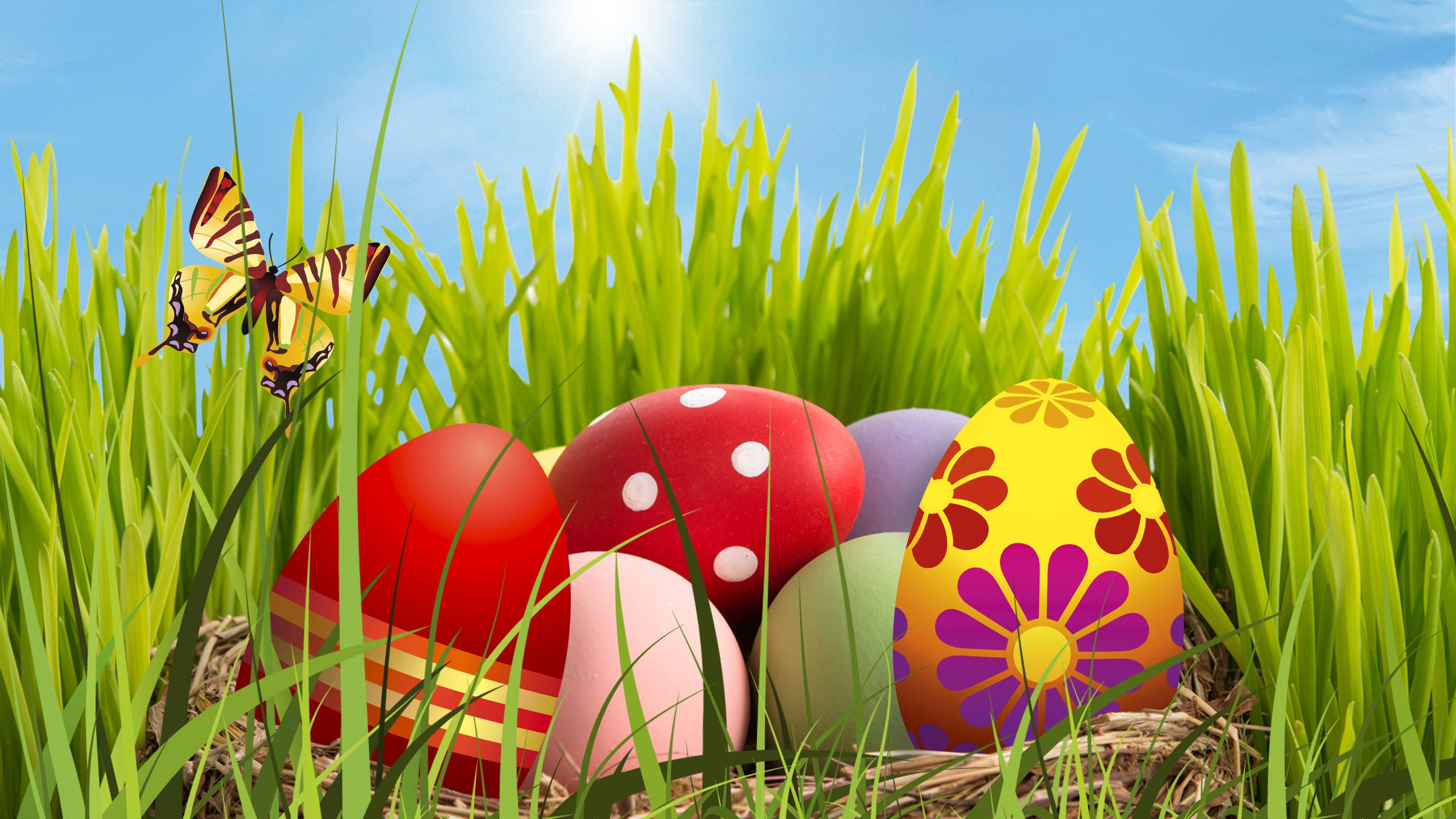Easter 桌布 壁紙 — 色彩繽紛的復活節蛋裝飾，藏在高高的綠草中，在明亮的藍天下，附近有蝴蝶翩翩飛舞。