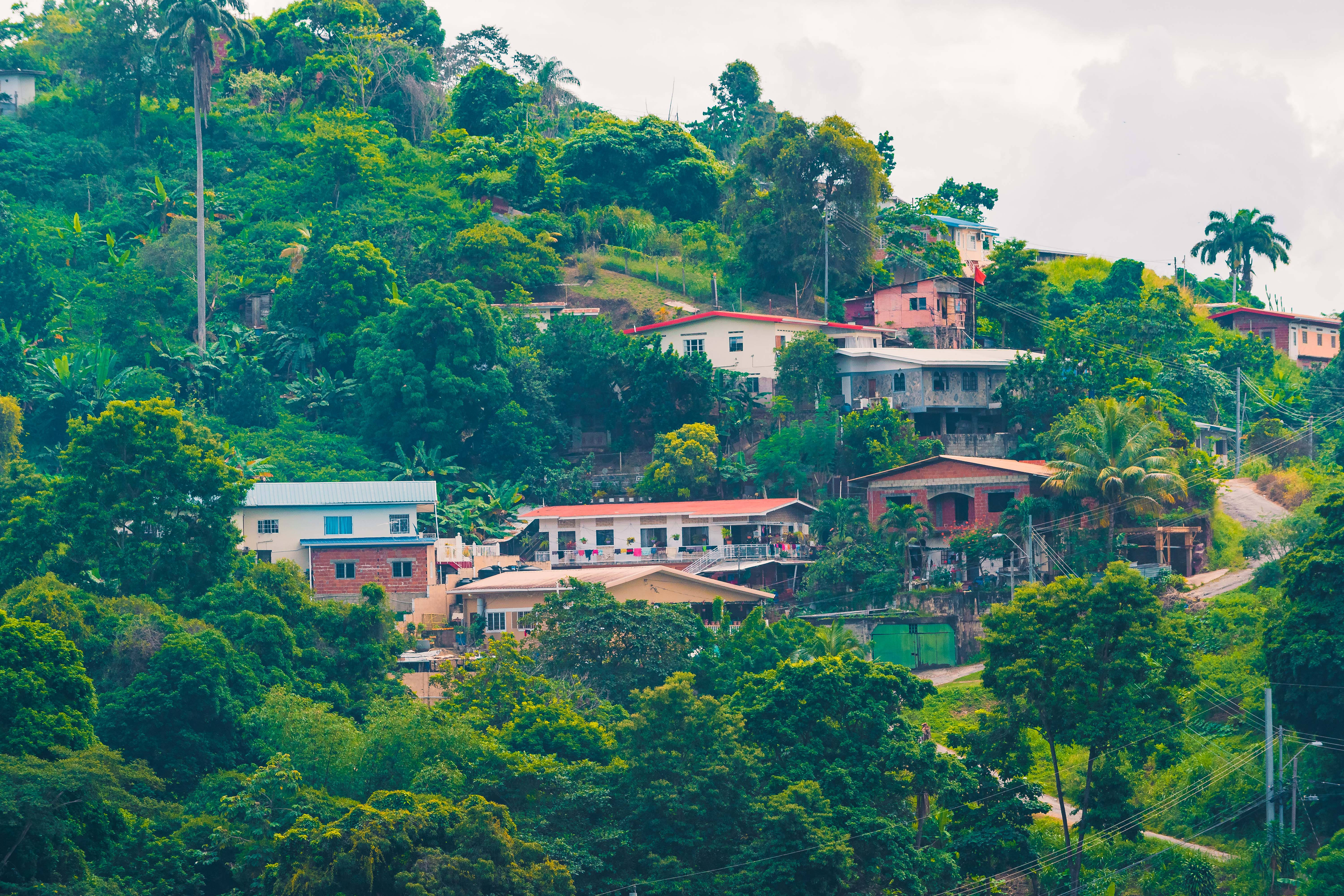 Trinidad 桌布 壁紙 — 色彩繽紛的房屋坐落在陰天薄霧籠罩的山坡上，被茂密的綠樹環繞。