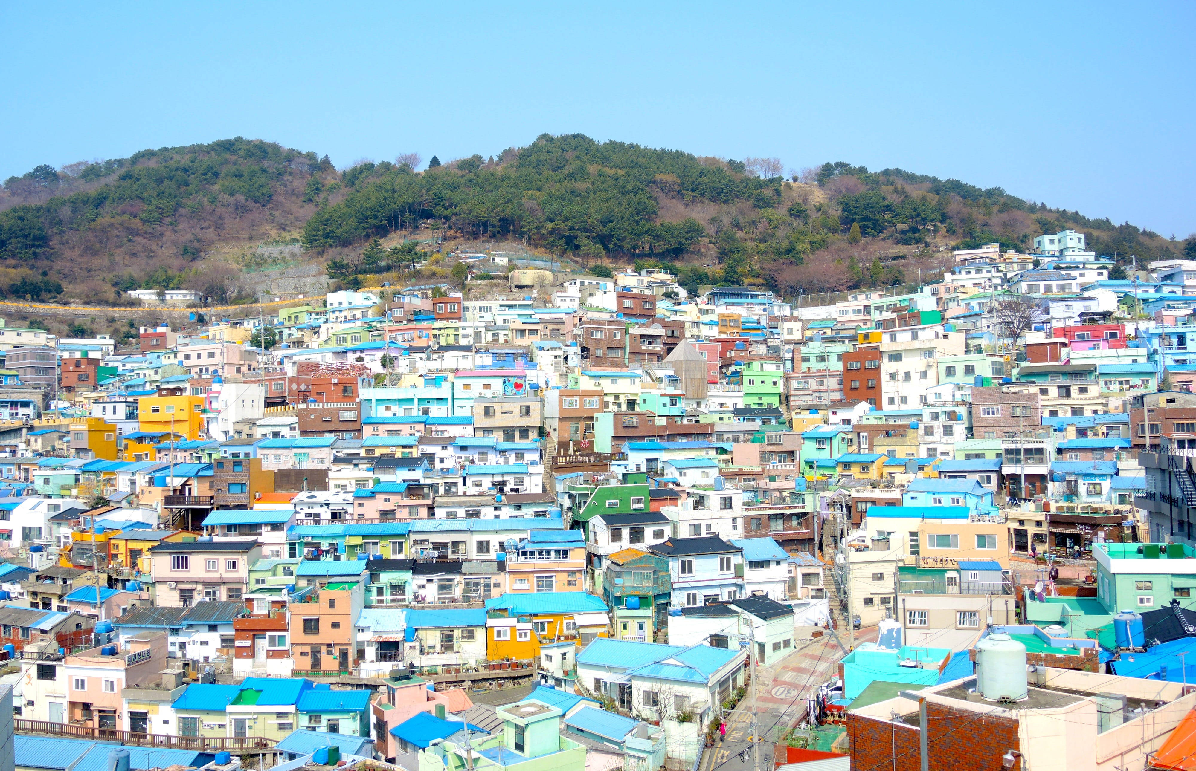 Busan 桌布 壁紙 — 色彩繽紛的房屋密集地排列在陽光明媚的山坡上，天空清澈湛藍。