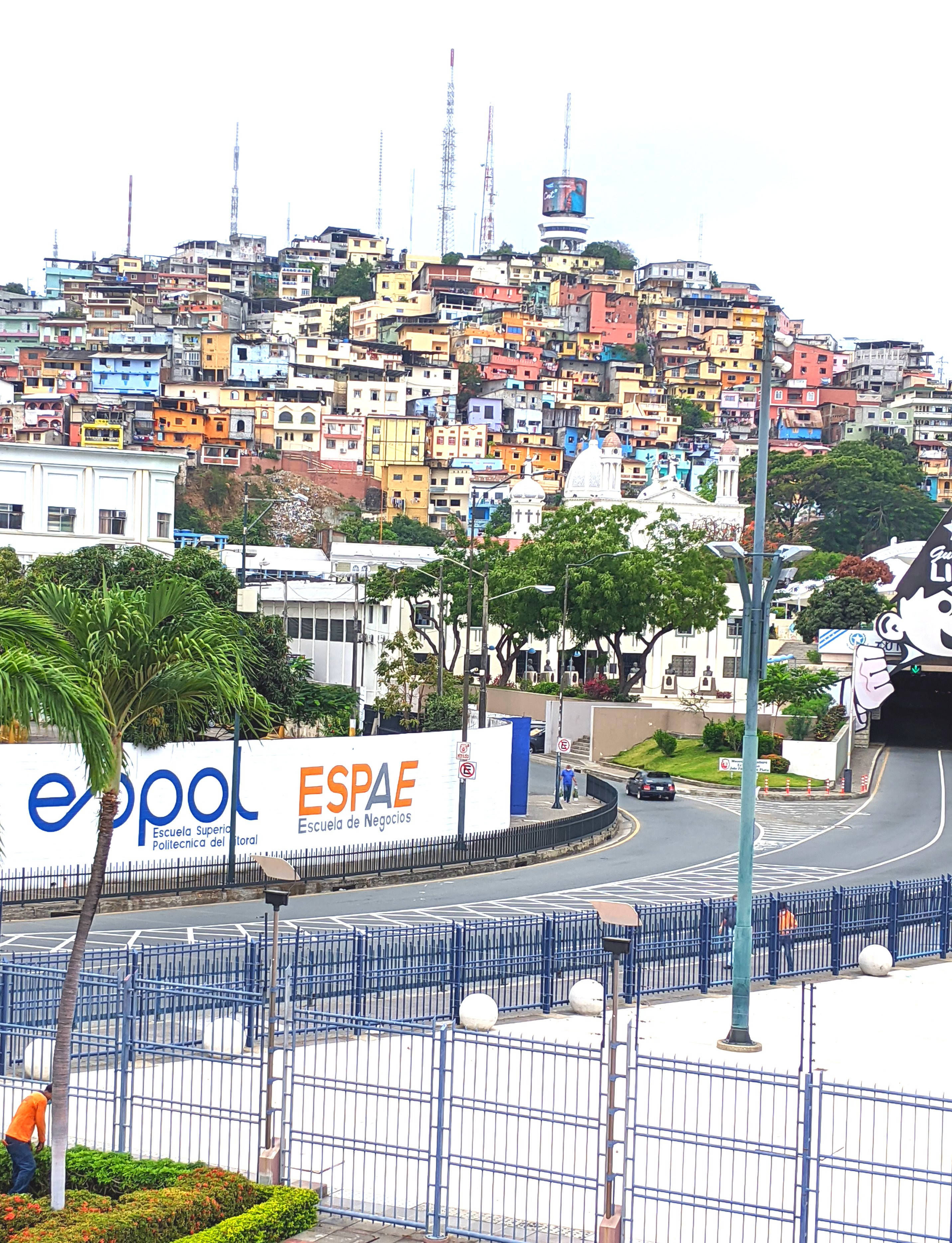 Ecuador 桌布 壁紙 — 色彩繽紛的房屋沿著山坡層疊而下，俯瞰著一條帶有藍色圍欄和棕櫚樹的彎曲道路。