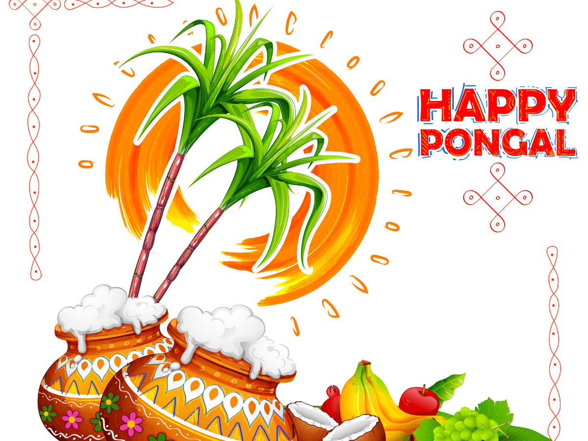 Greetings 桌布 壁紙 — 色彩繽紛的插圖，兩個裝飾過的鍋子裝滿白色Pongal，兩旁有甘蔗和熱帶水果，襯托著耀眼的橙色太陽。