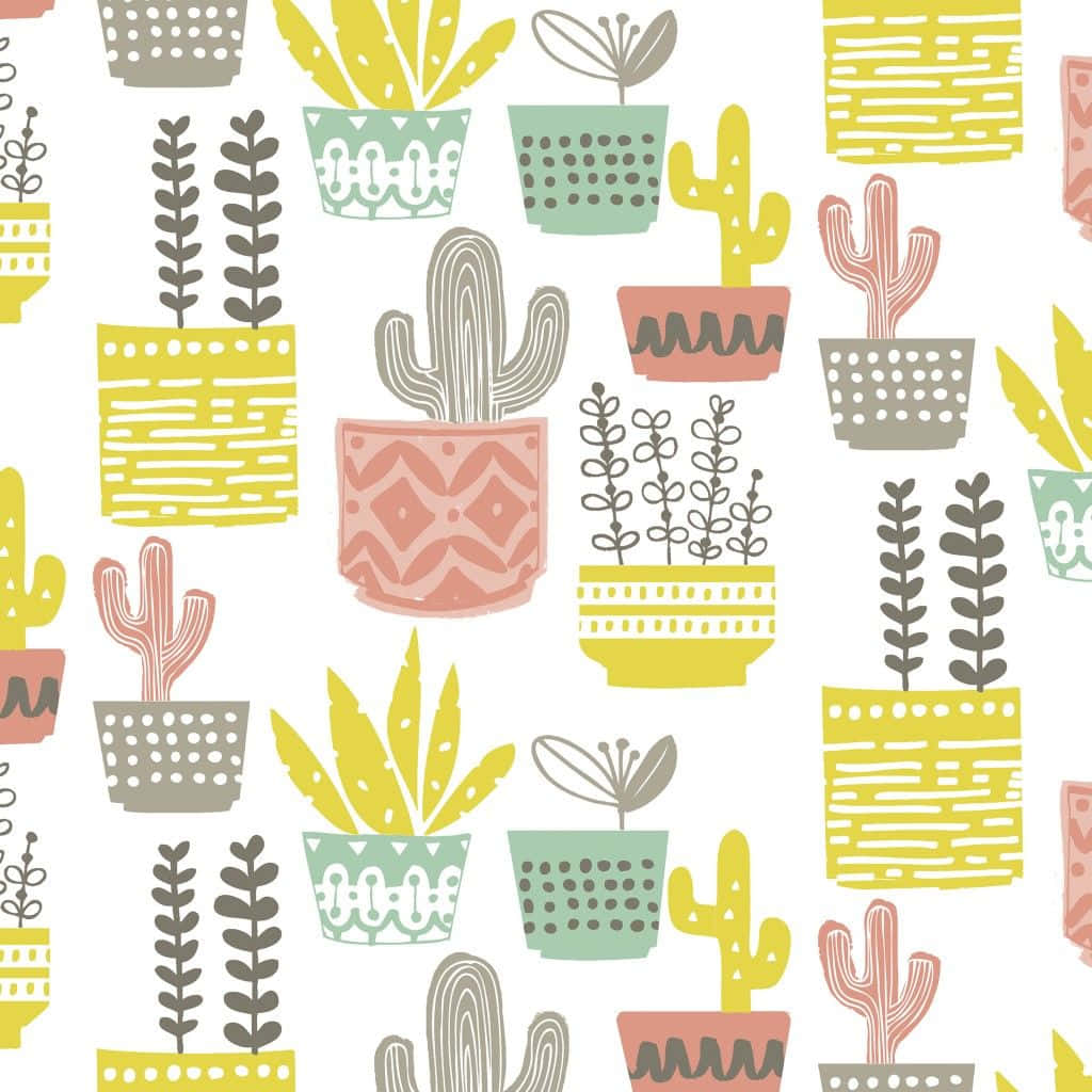 Cactus 桌布 壁紙 — 色彩繽紛的插圖仙人掌和多肉植物在圖案花盆中重複排列在乾淨的白色背景上。