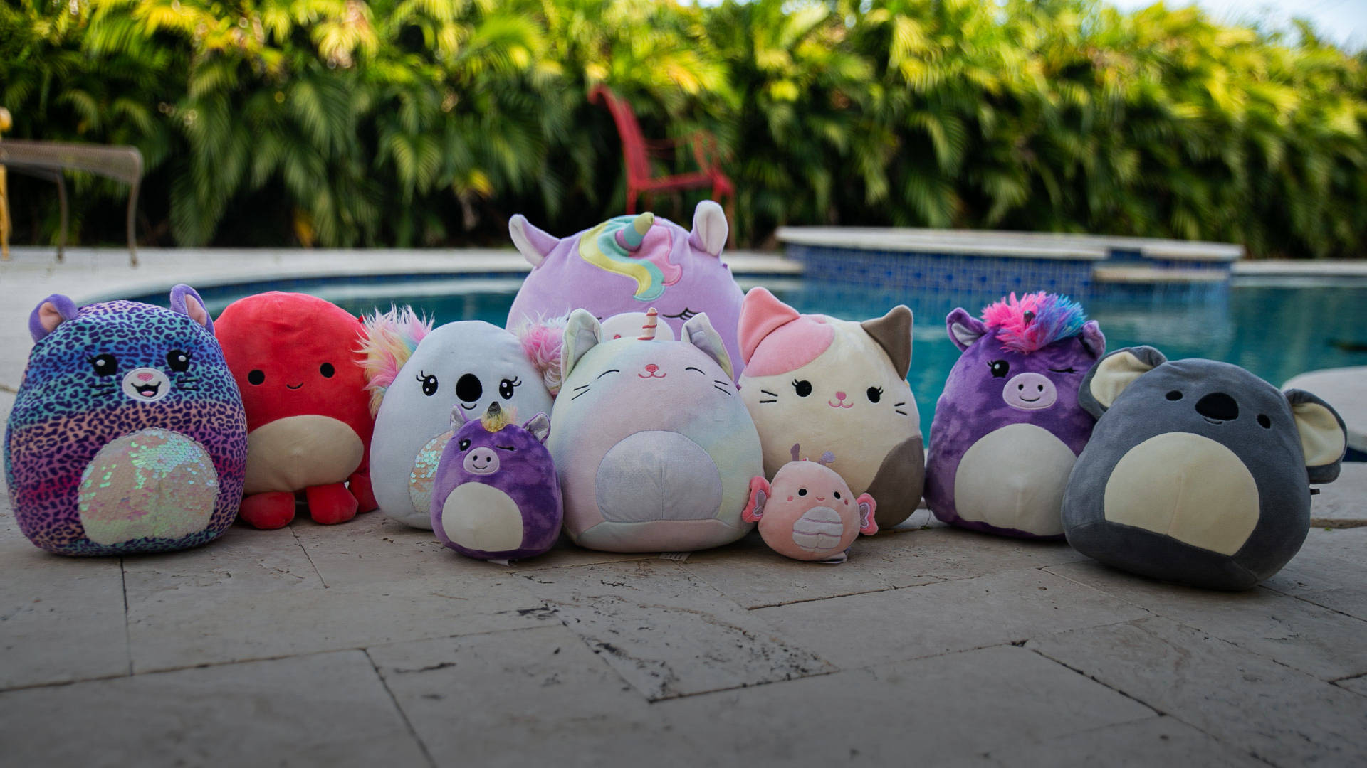 在游泳池旁排列的彩色毛絨玩具。 — Squishmallows 壁紙