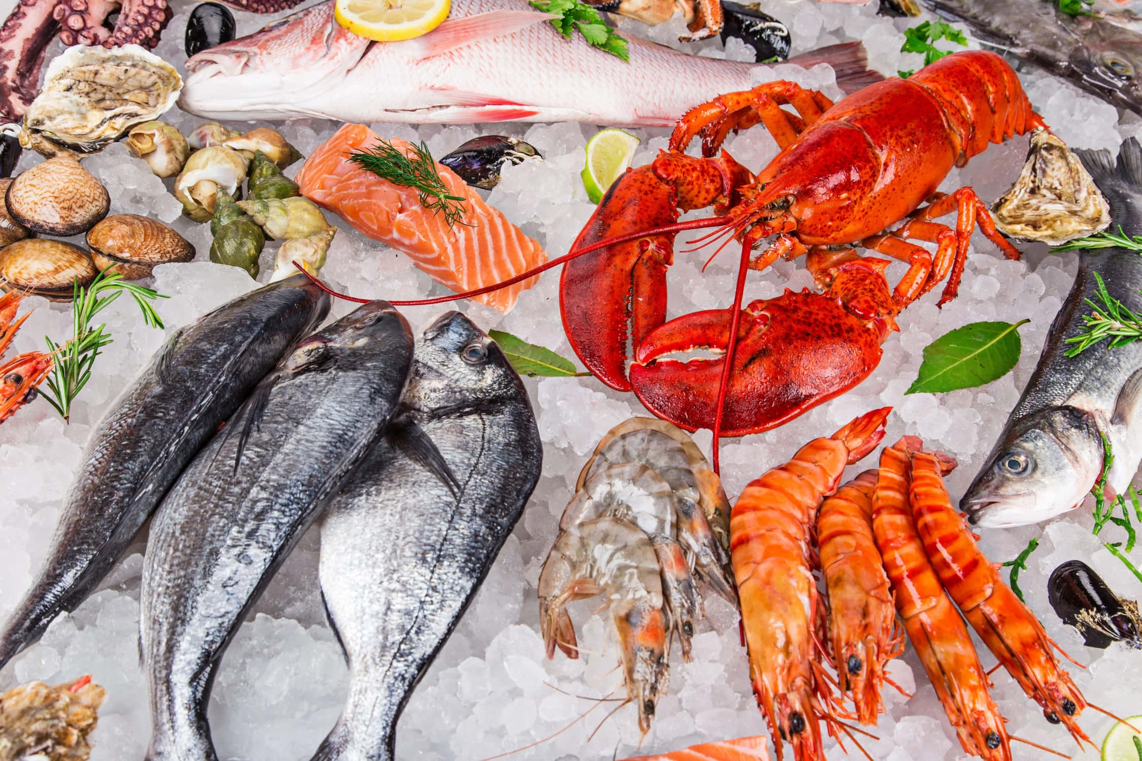 Seafood 桌布 壁紙 — 色彩繽紛的海鮮展示，包括鮮紅龍蝦、鮭魚、蝦及各類魚，擺放在碎冰上，配以檸檬和香草。