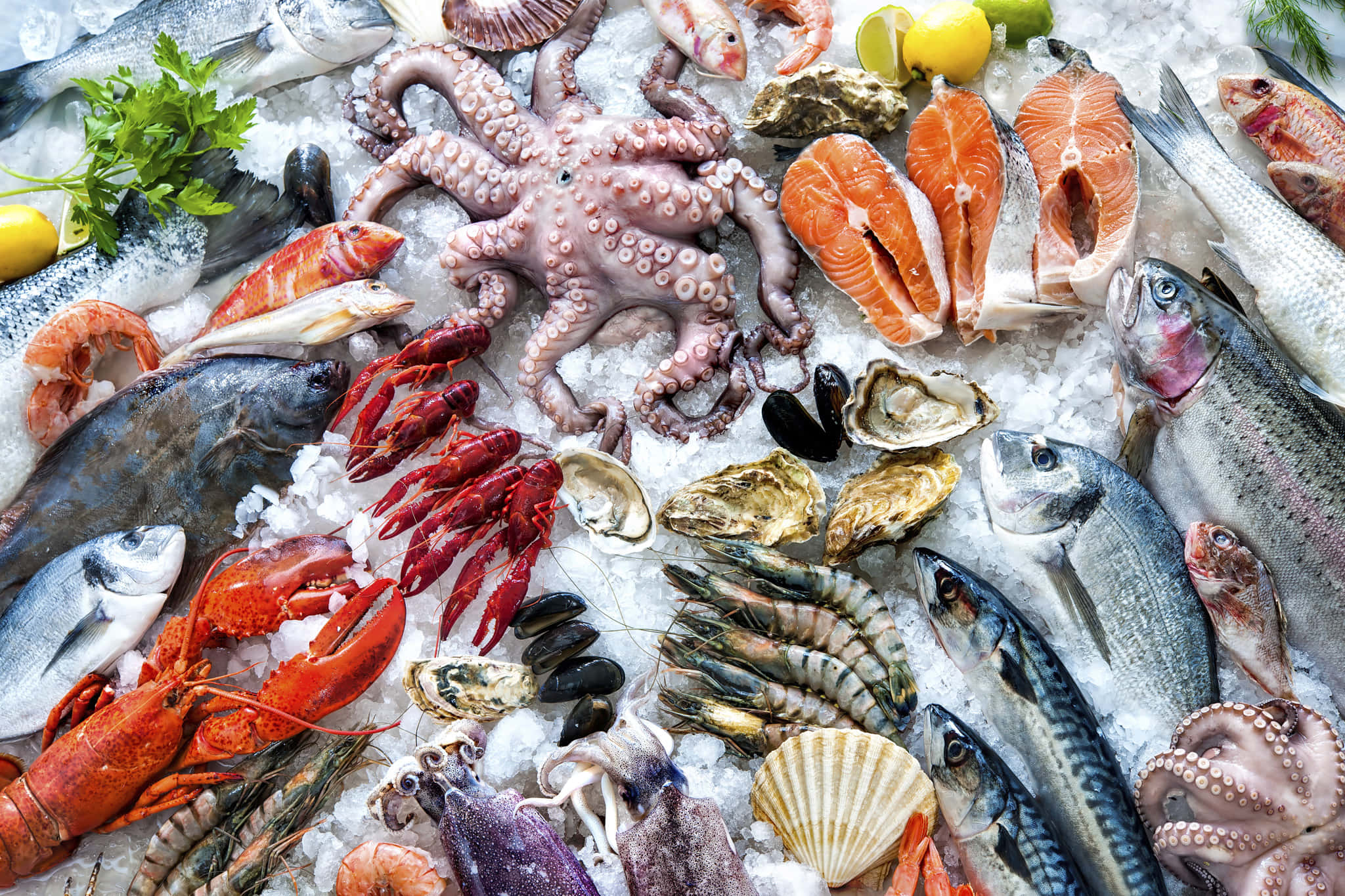 Seafood 桌布 壁紙 — 色彩繽紛的海鮮拼盤，包括章魚、龍蝦、鮭魚和貽貝，放在碎冰上，搭配檸檬和香草。