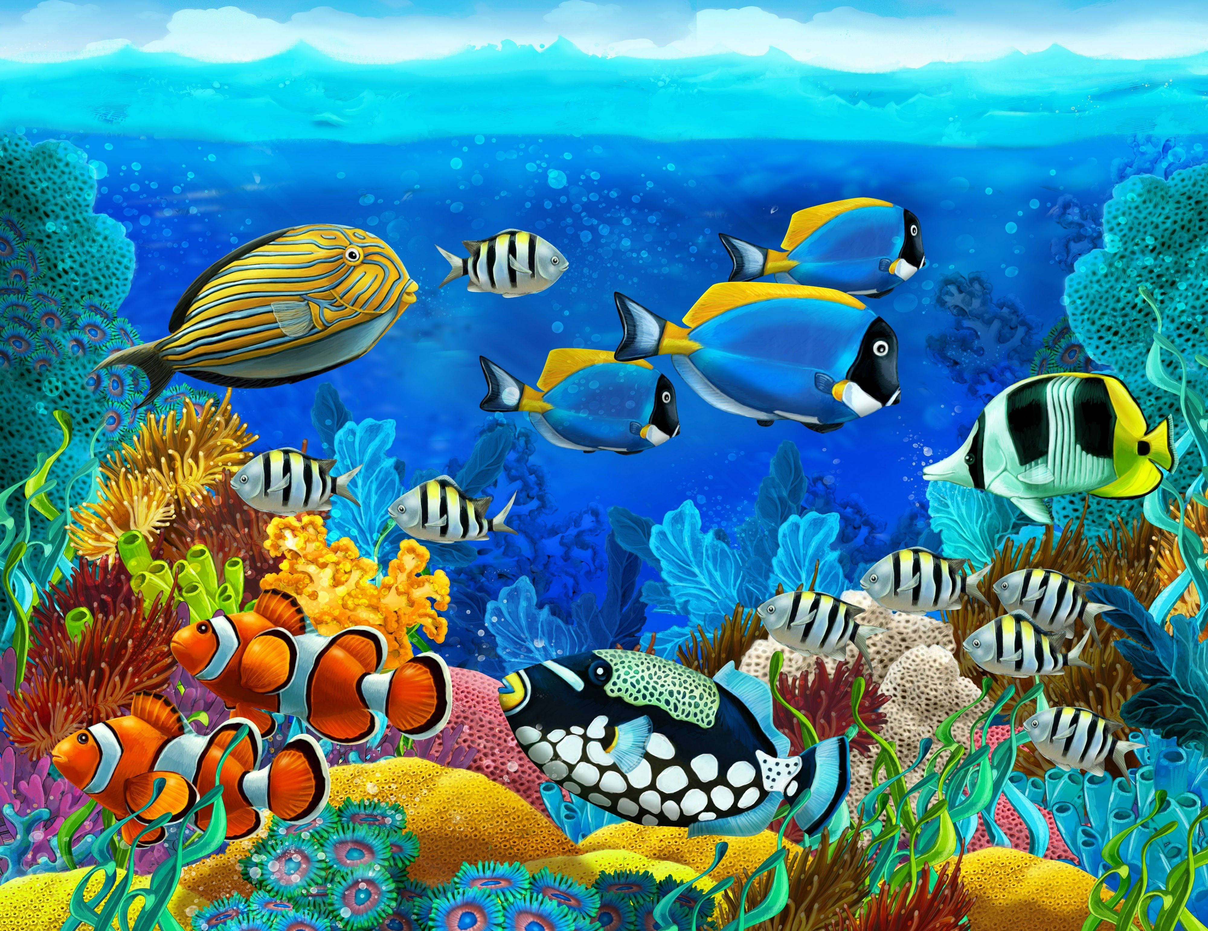 Aquatic 桌布 壁紙 — 色彩繽紛的熱帶魚在清澈的藍色海水下，於多彩的珊瑚礁之間游動。