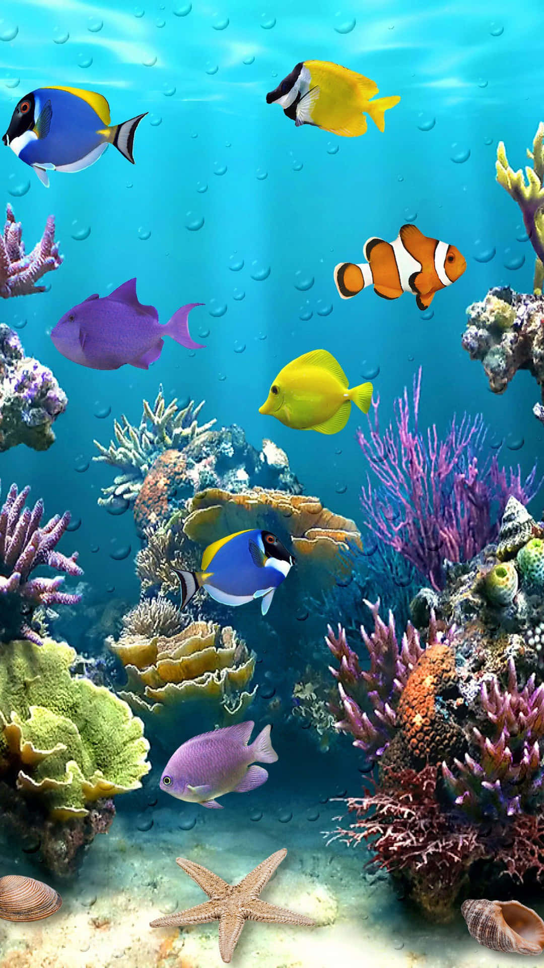 清澈藍色海水中的多彩熱帶魚和珊瑚，伴有海星和氣泡。 — 魚 GIF 壁紙