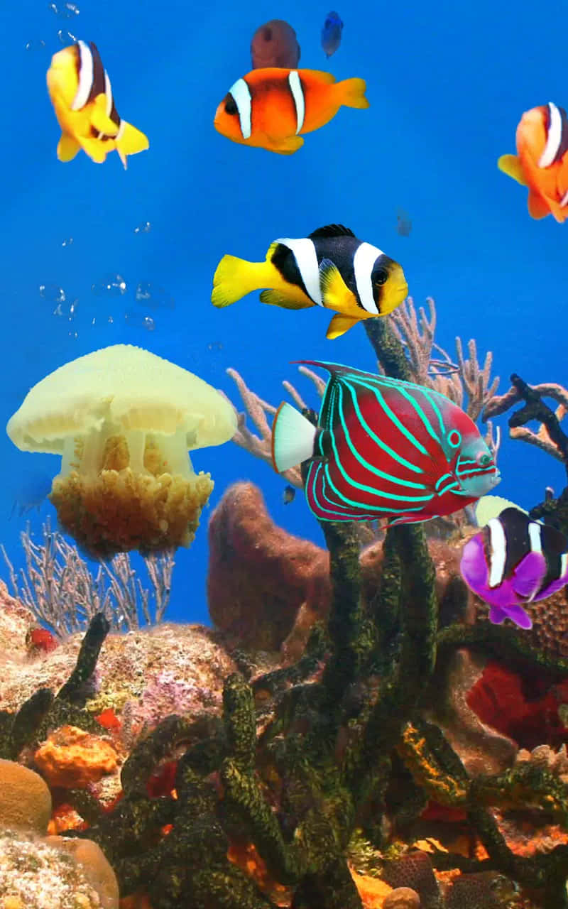 Aquarium iPhone 桌布 壁紙 — 色彩繽紛的熱帶魚在清澈的藍色海水中，於多彩珊瑚和發光水母之間游動。
