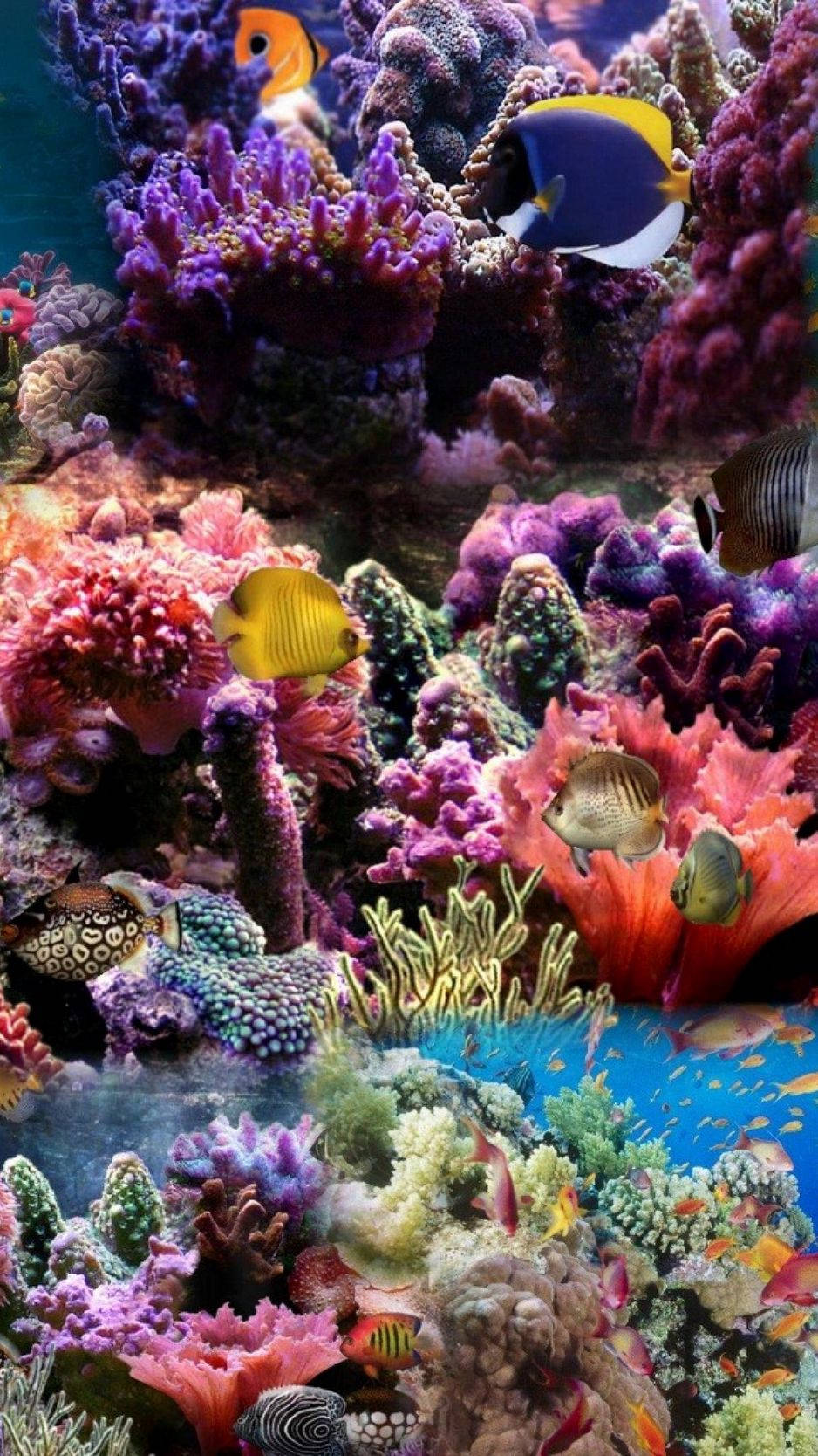 poster 桌布 壁紙 — 色彩繽紛的熱帶魚在生機勃勃的海底場景中穿梭於多彩的珊瑚礁之間。