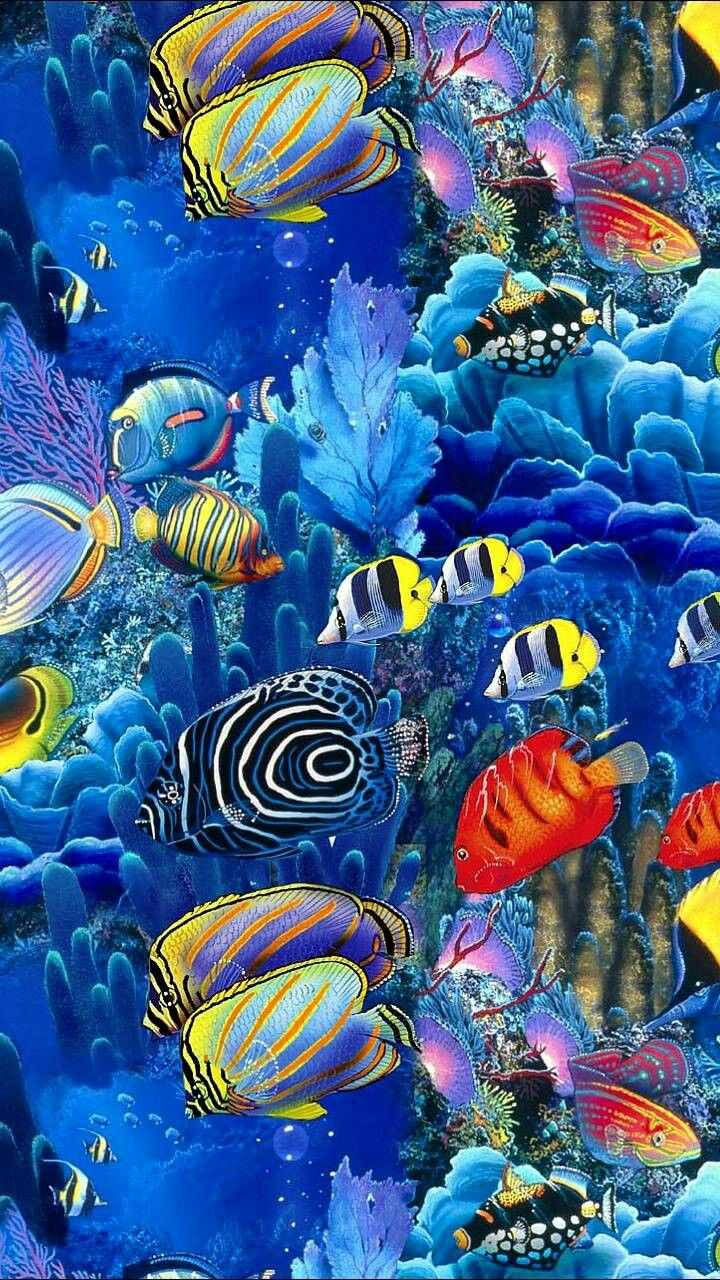 魚 桌布 壁紙 — 色彩繽紛的熱帶魚在發光的藍色珊瑚和紫色海扇中游動，構成迷人的海底場景。