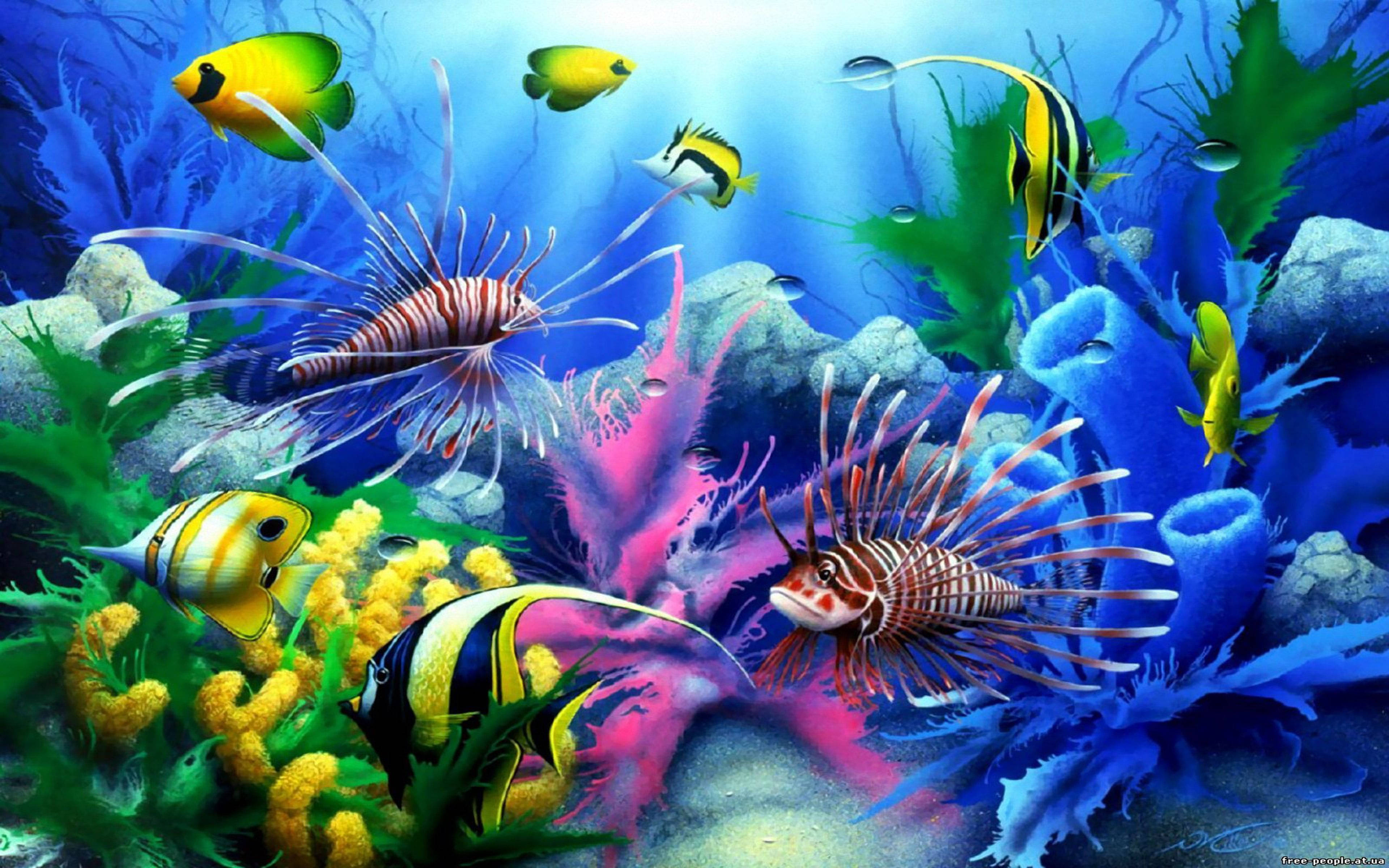 酷魚 桌布 壁紙 — 色彩繽紛的熱帶魚在色彩斑斕的珊瑚和海草間游動，構成生動的海底場景。