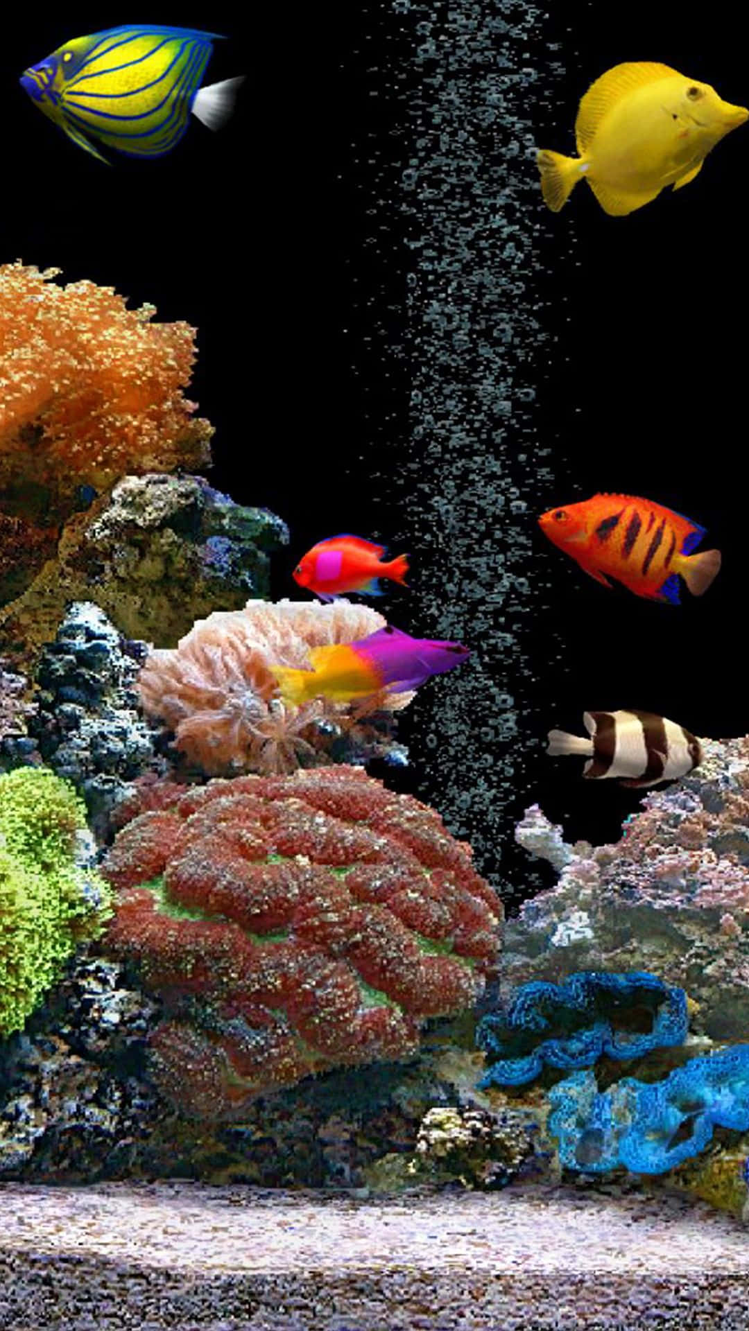 Aquarium 桌布 壁紙 — 色彩繽紛的熱帶魚在黑暗的水族箱中，於多彩的珊瑚 formations 之間游動，氣泡上升。
