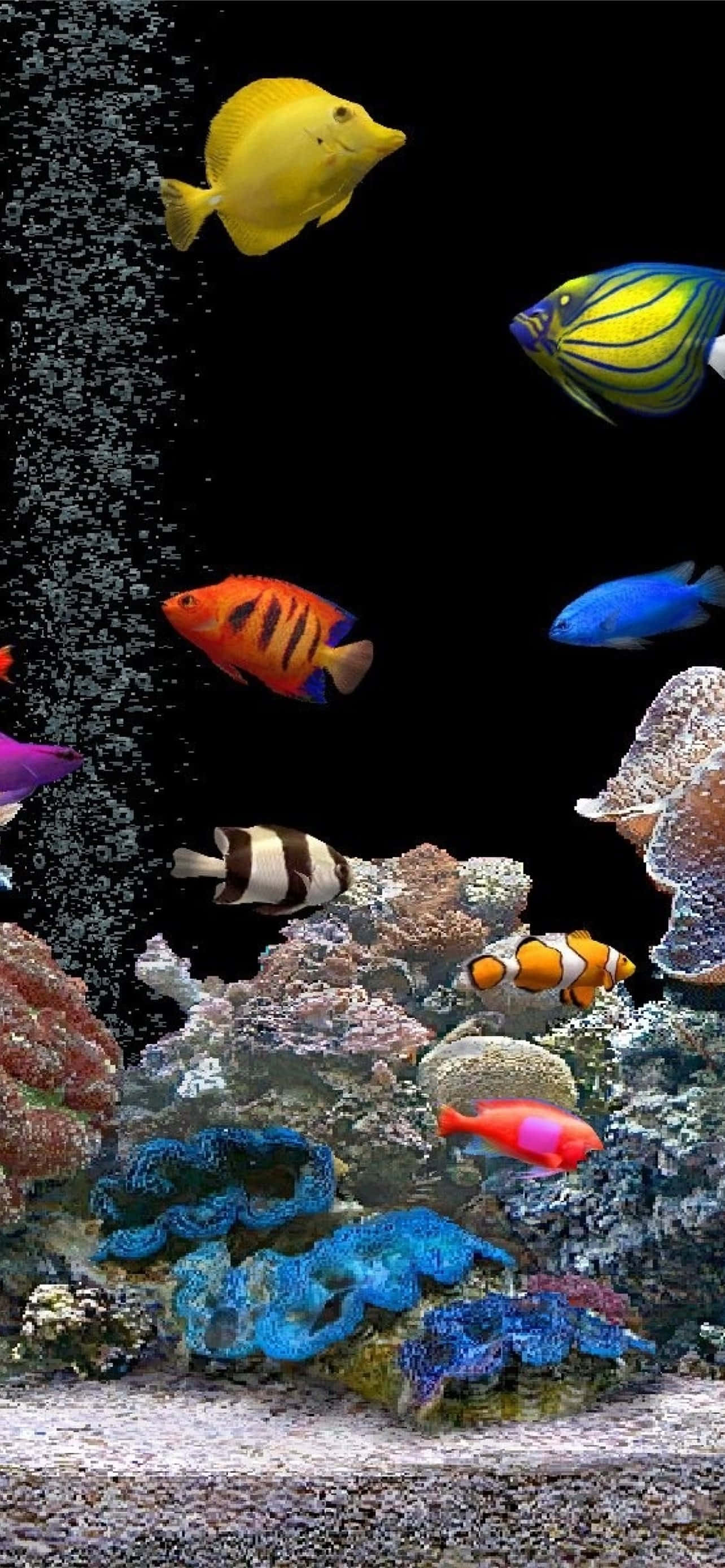 Aquarium iPhone 桌布 壁紙 — 色彩繽紛的熱帶魚在黑暗的水族箱中，於多彩的珊瑚和上升的氣泡間優雅地游動。