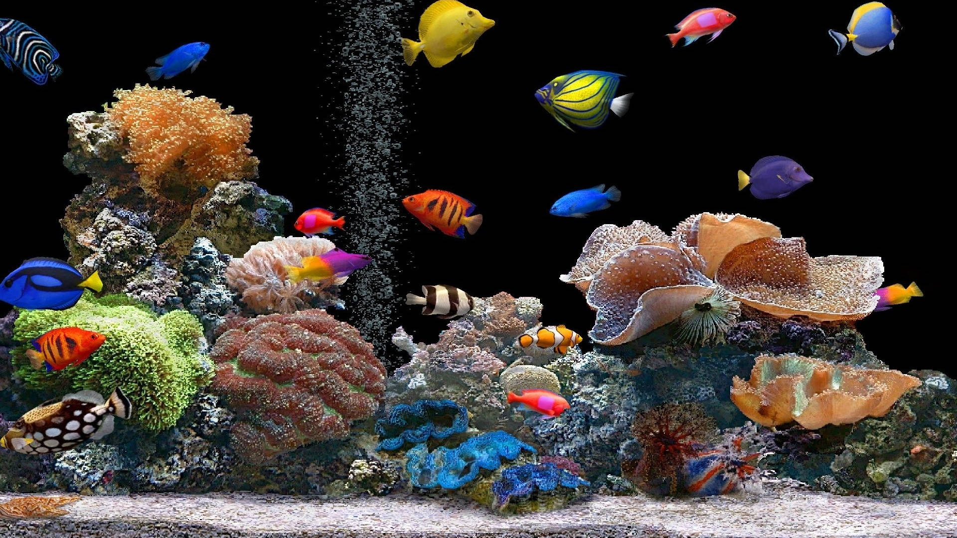 Aquarium 桌布 壁紙 — 色彩繽紛的熱帶魚在黑暗的水族館中，於多彩的珊瑚結構間游動，伴隨著上升的氣泡。