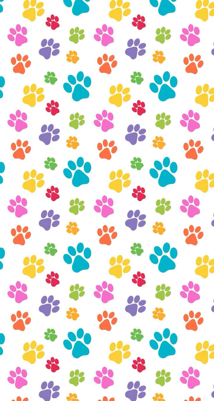 paws 桌布 壁紙 — 色彩繽紛的爪印散落在潔白背景上，形成俏皮的重複圖案。