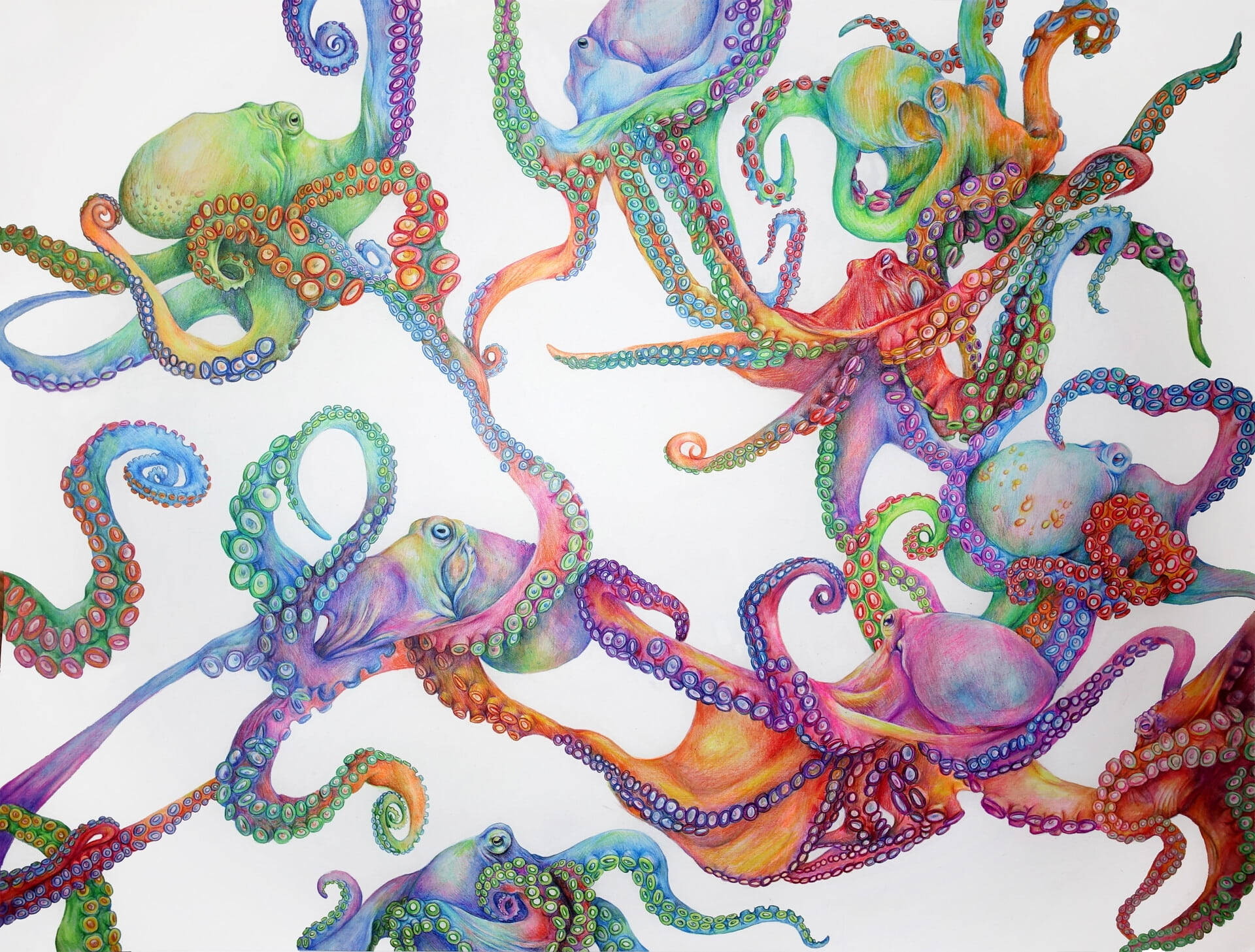 Octopus 桌布 壁紙 — 色彩繽紛的章魚，帶有旋轉的觸手和發光的吸盤，在白色背景上跳舞，形成一幅異想天開的插圖。
