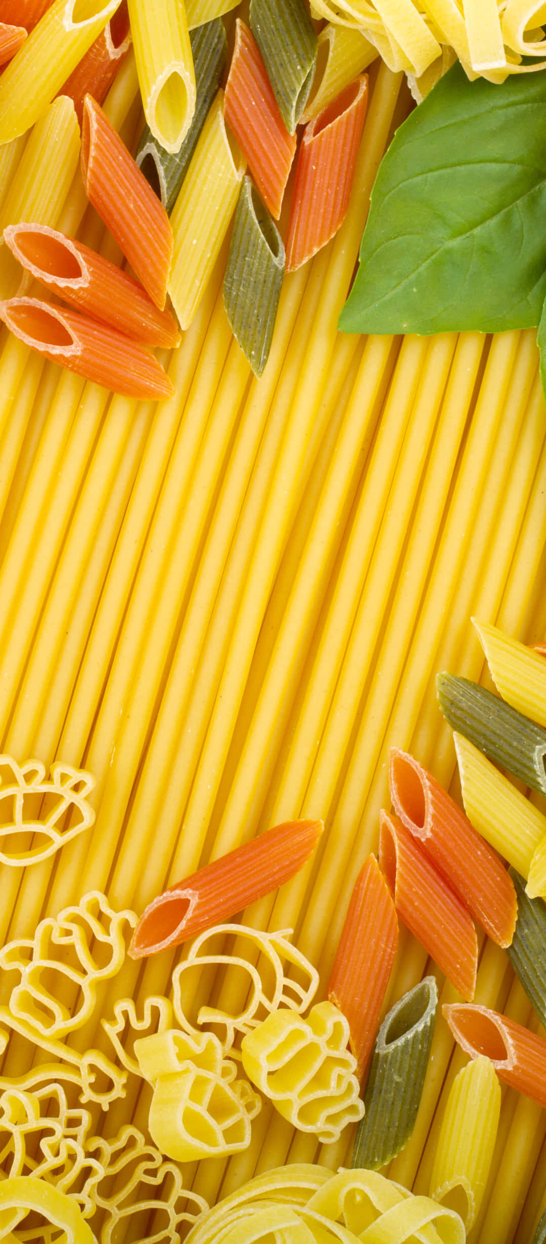 Best Pasta 桌布 壁紙 — 色彩繽紛的義大利麵形狀和新鮮羅勒葉在明亮的俯視構圖中排列的充滿活力的陣列。