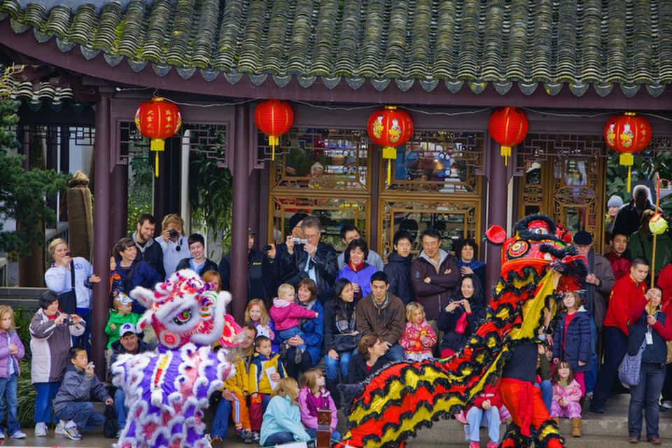 春節 桌布 壁紙 — 色彩繽紛的舞獅表演者在傳統紅色燈籠下，為多元化的觀眾帶來歡樂的節日文化活動。
