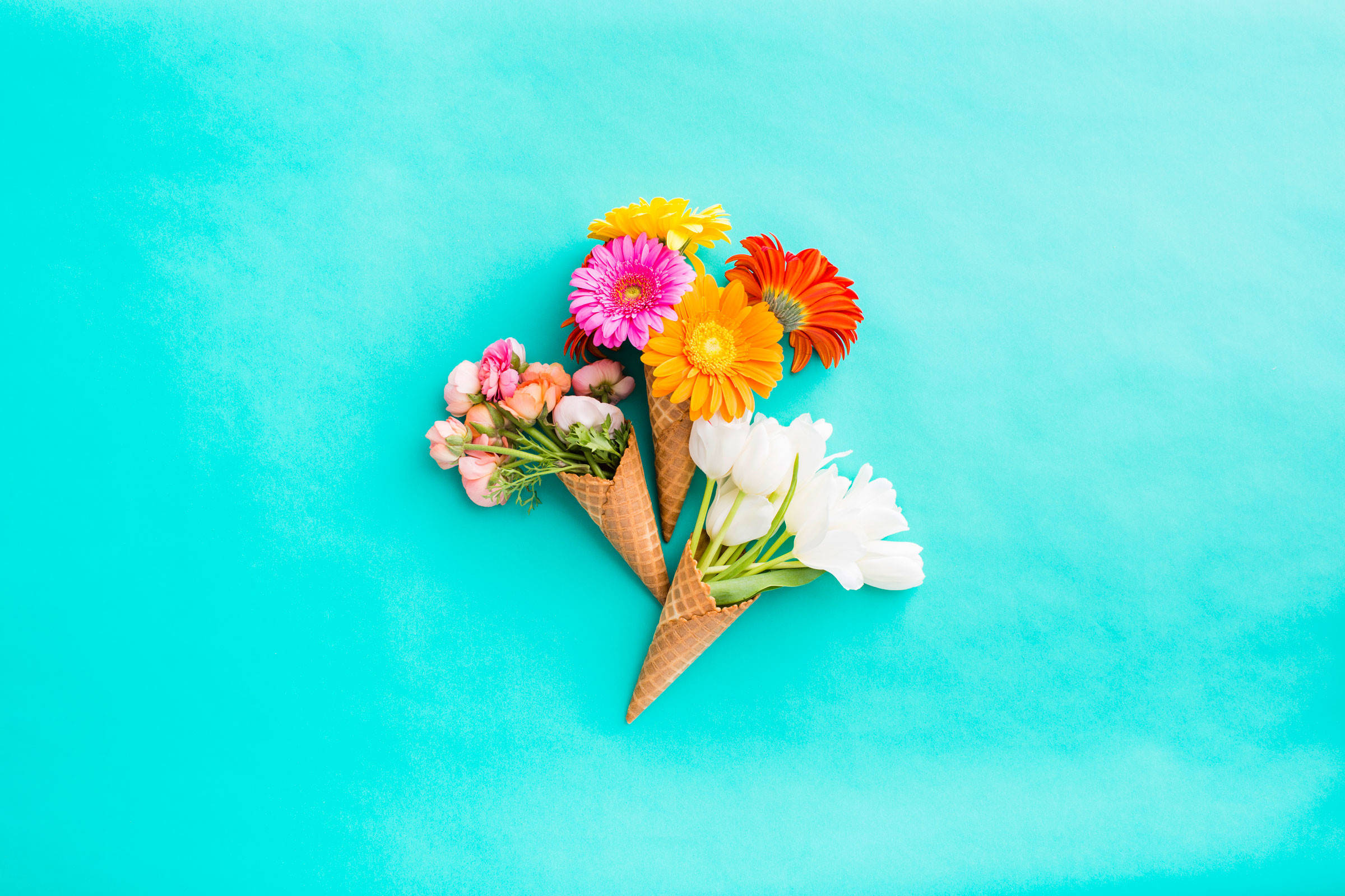 Spring Aesthetic 桌布 壁紙 — 色彩繽紛的花朵放在鬆餅筒中，排列在明亮的藍綠色背景上。