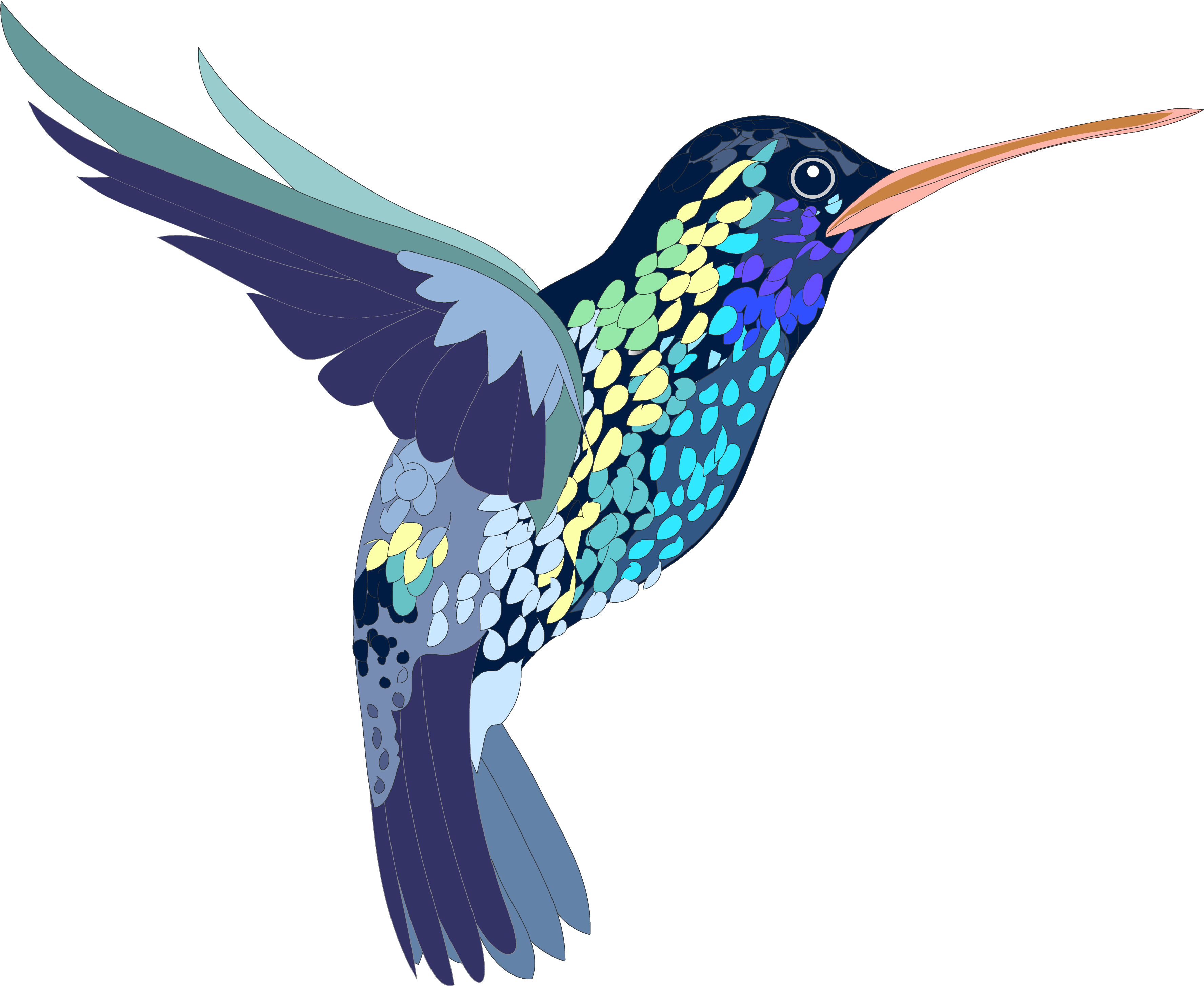 色彩繽紛的蜂鳥插畫 壁紙