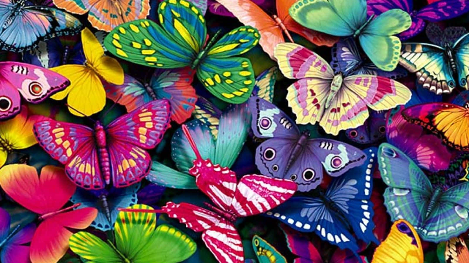 Butterflies Laptop 桌布 壁紙 — 色彩繽紛的蝴蝶，翅膀閃爍虹彩，密集重疊，形成耀眼奪目的圖案。