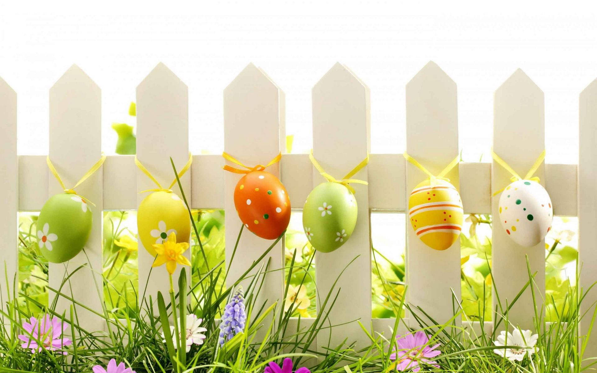 Happy Easter 桌布 壁紙 — 色彩繽紛的裝飾復活節蛋掛在白色柵欄上，周圍是充滿活力的綠草和盛開的春季花朵。