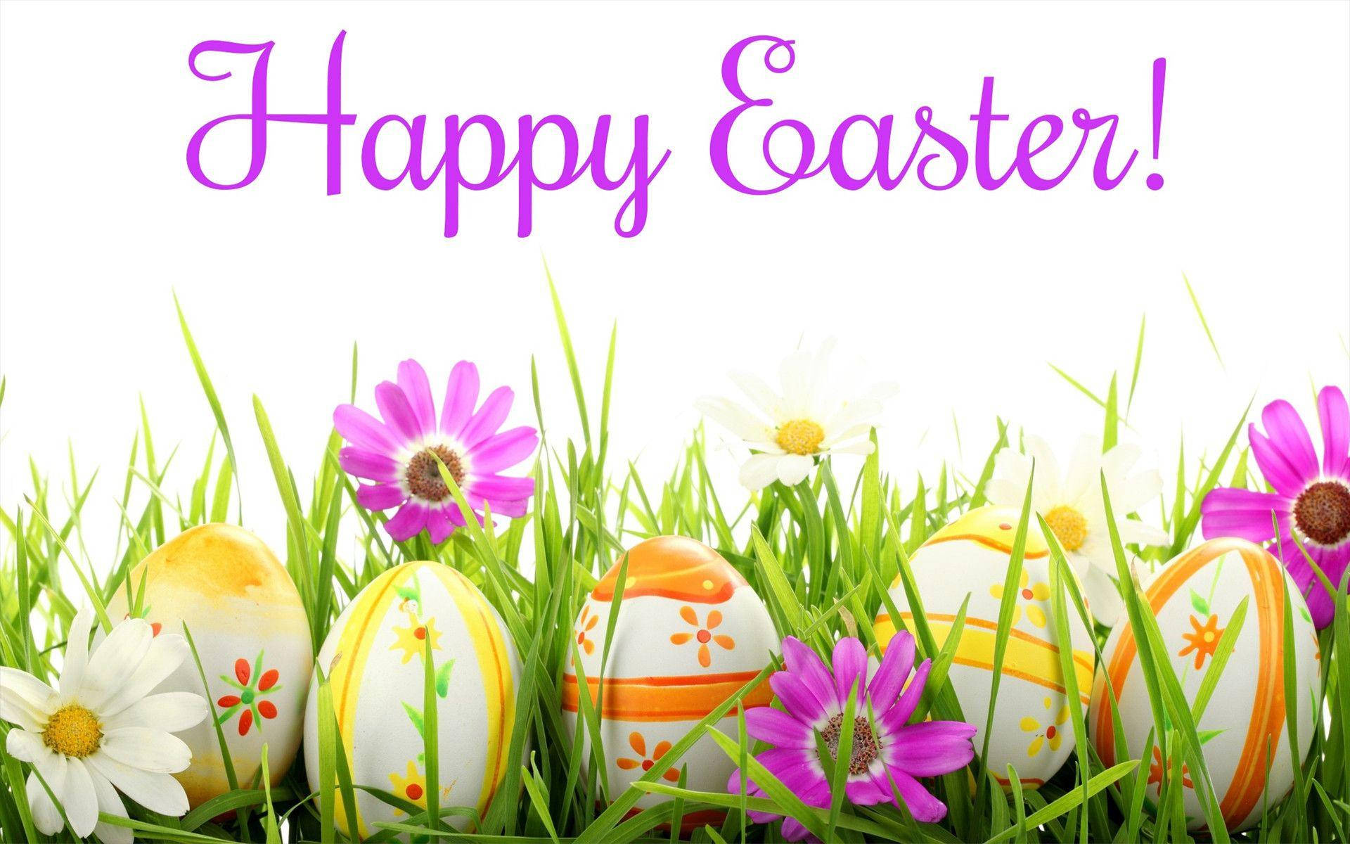 Happy Easter 桌布 壁紙 — 色彩繽紛的裝飾復活蛋，藏在充滿活力的綠色草地上，伴隨著紫色和白色的雛菊，在明亮的陽光下。