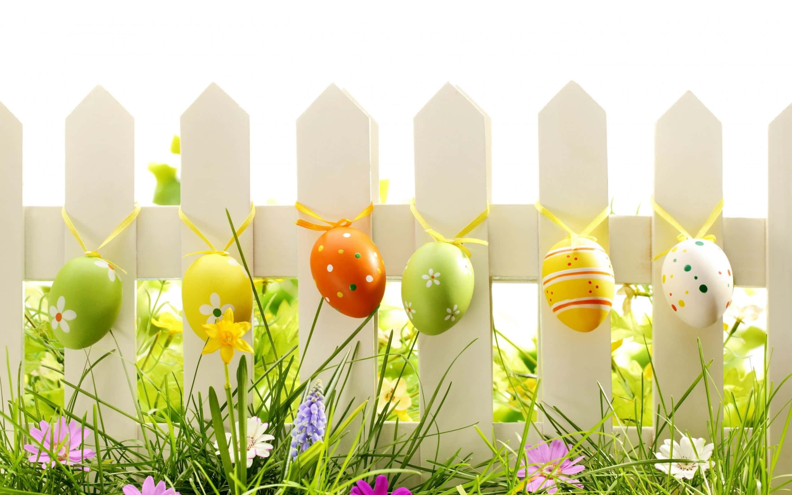 Pastel Easter 桌布 壁紙 — 色彩繽紛的裝飾復活蛋掛在白色柵欄上，周圍是翠綠的草地和盛開的春天花朵。