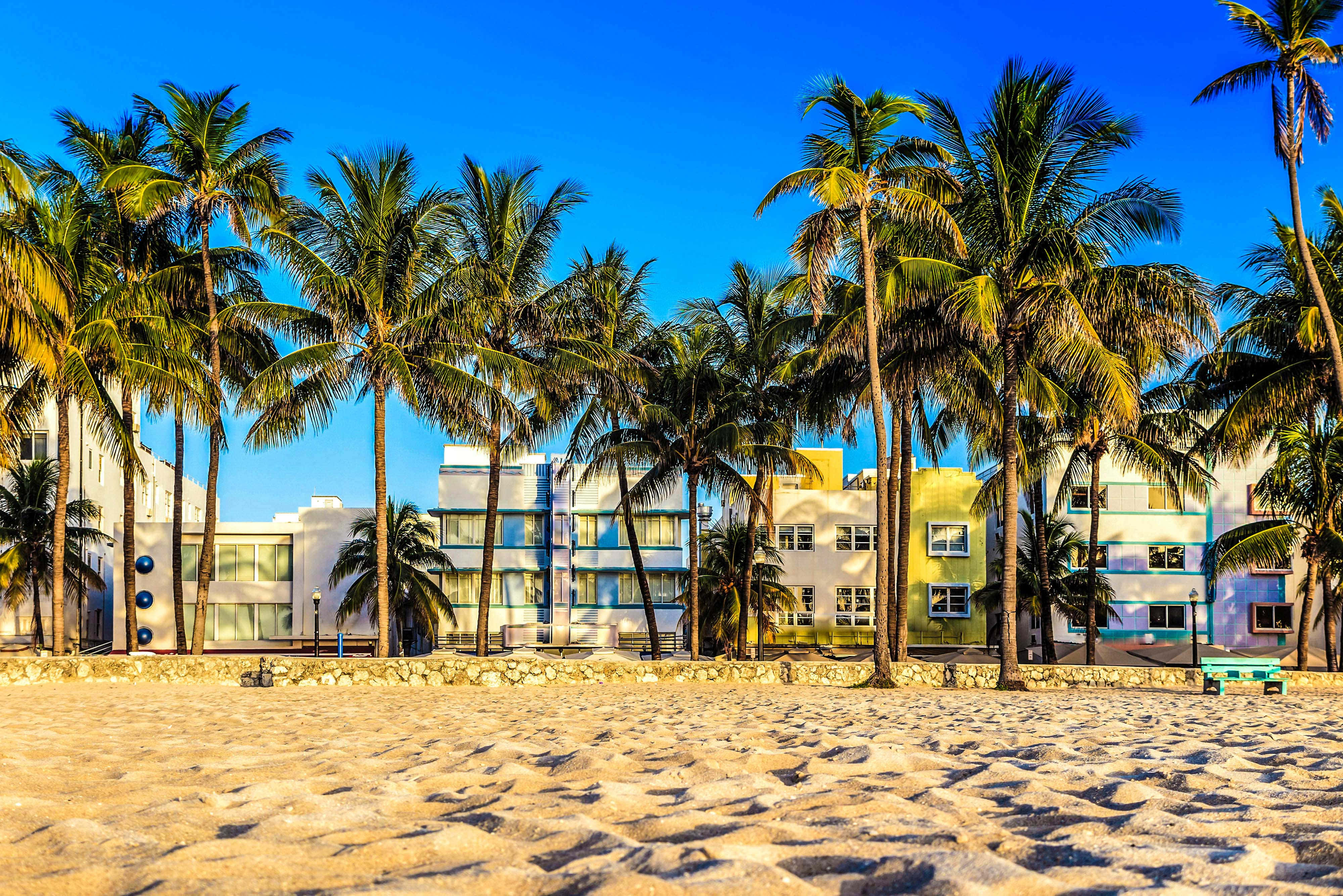 Miami 桌布 壁紙 — 色彩繽紛的裝飾藝術建築排列在陽光明媚的海灘上，高大的棕櫚樹在清澈的藍天下形成框架。