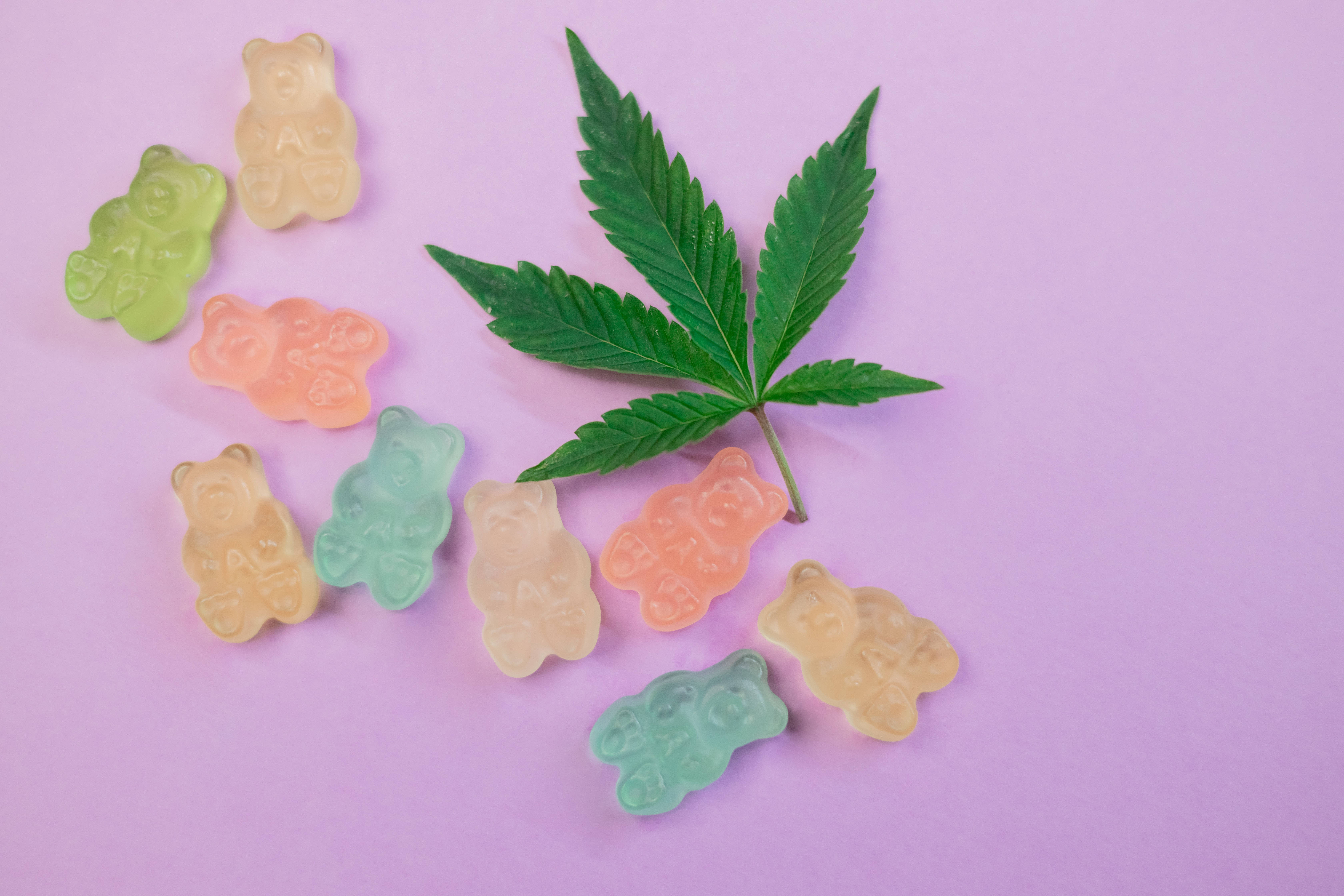 酷炫大麻 桌布 壁紙 — 色彩繽紛的軟糖熊和大麻葉排列在柔和的紫色背景上。