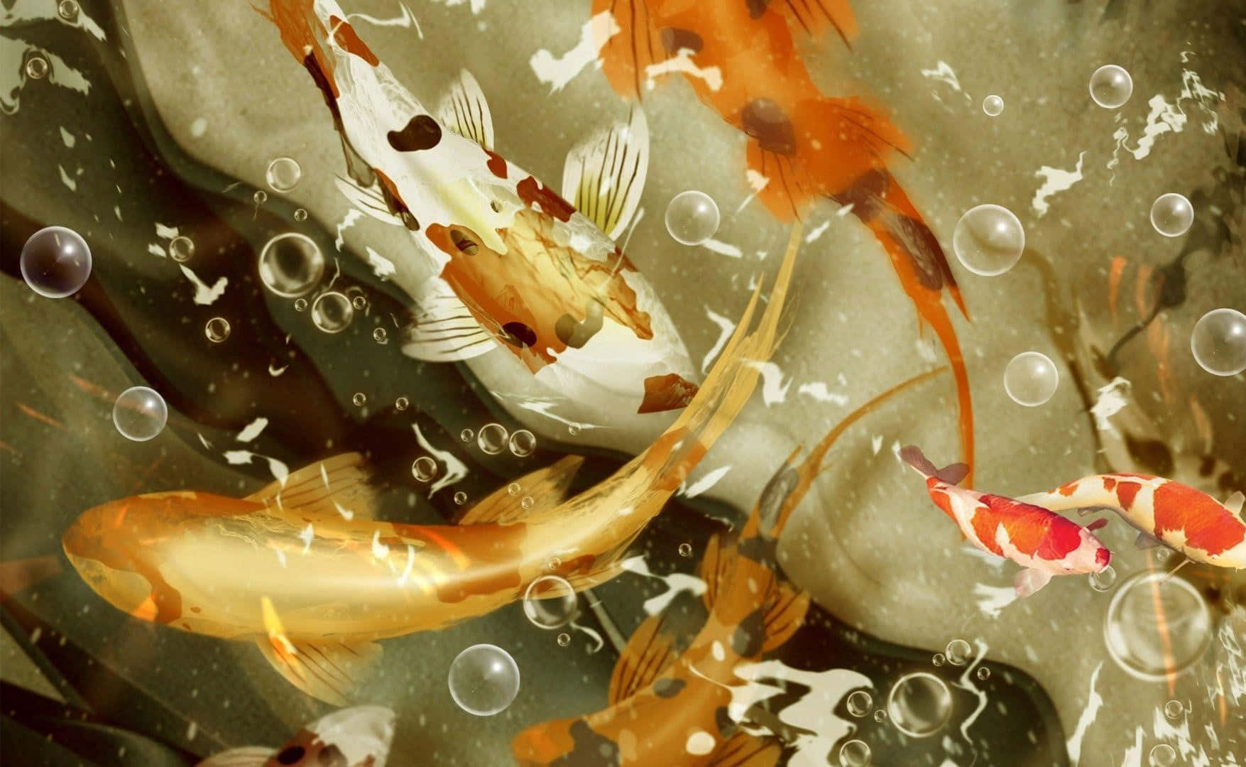 Koi Fish 桌布 壁紙 — 色彩繽紛的錦鯉在佈滿浮泡和柔和光線反射的渾濁水中優雅游動。